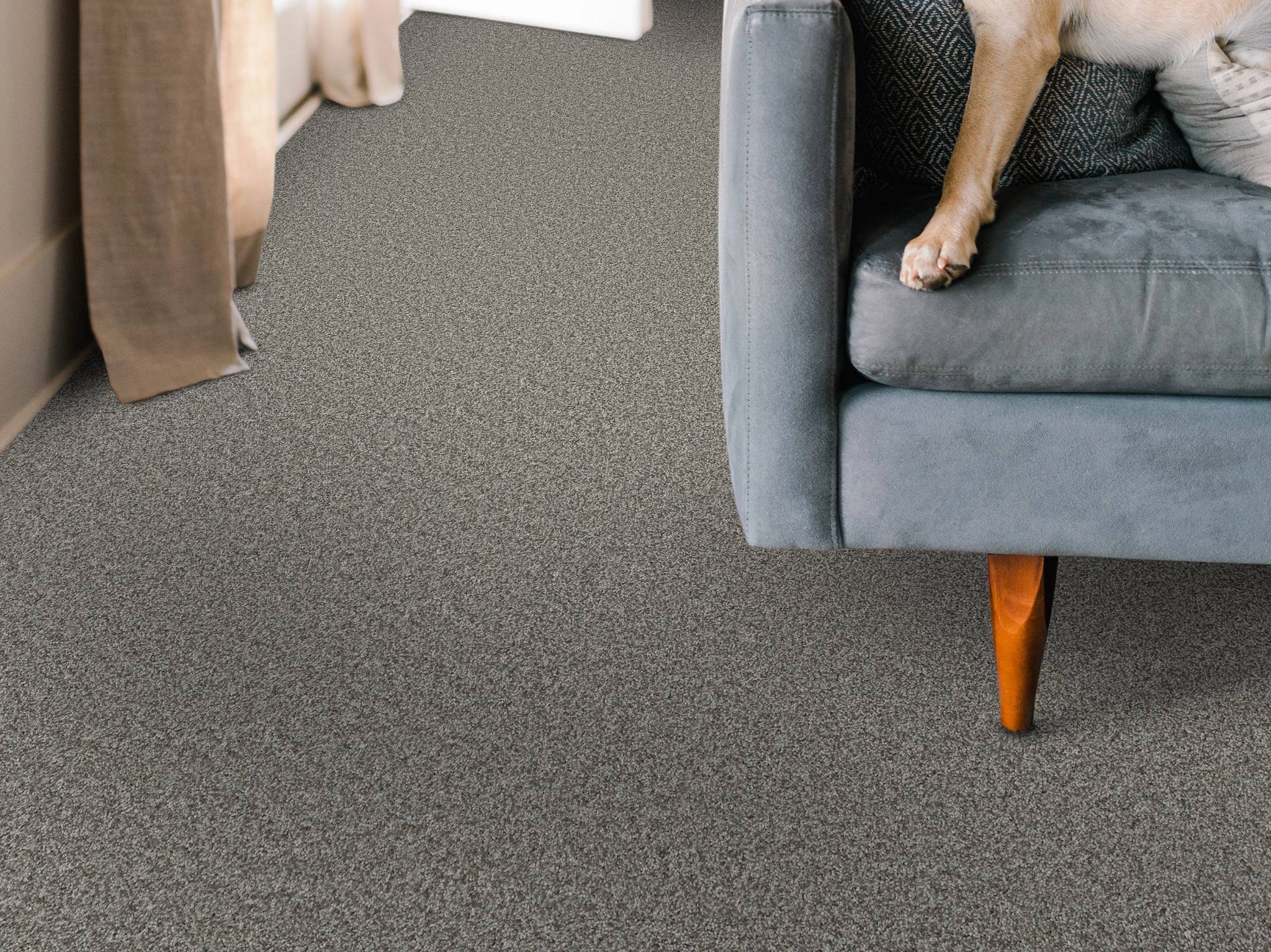 Style - Take My Word II,  Color - VINTAGE - Room Scene