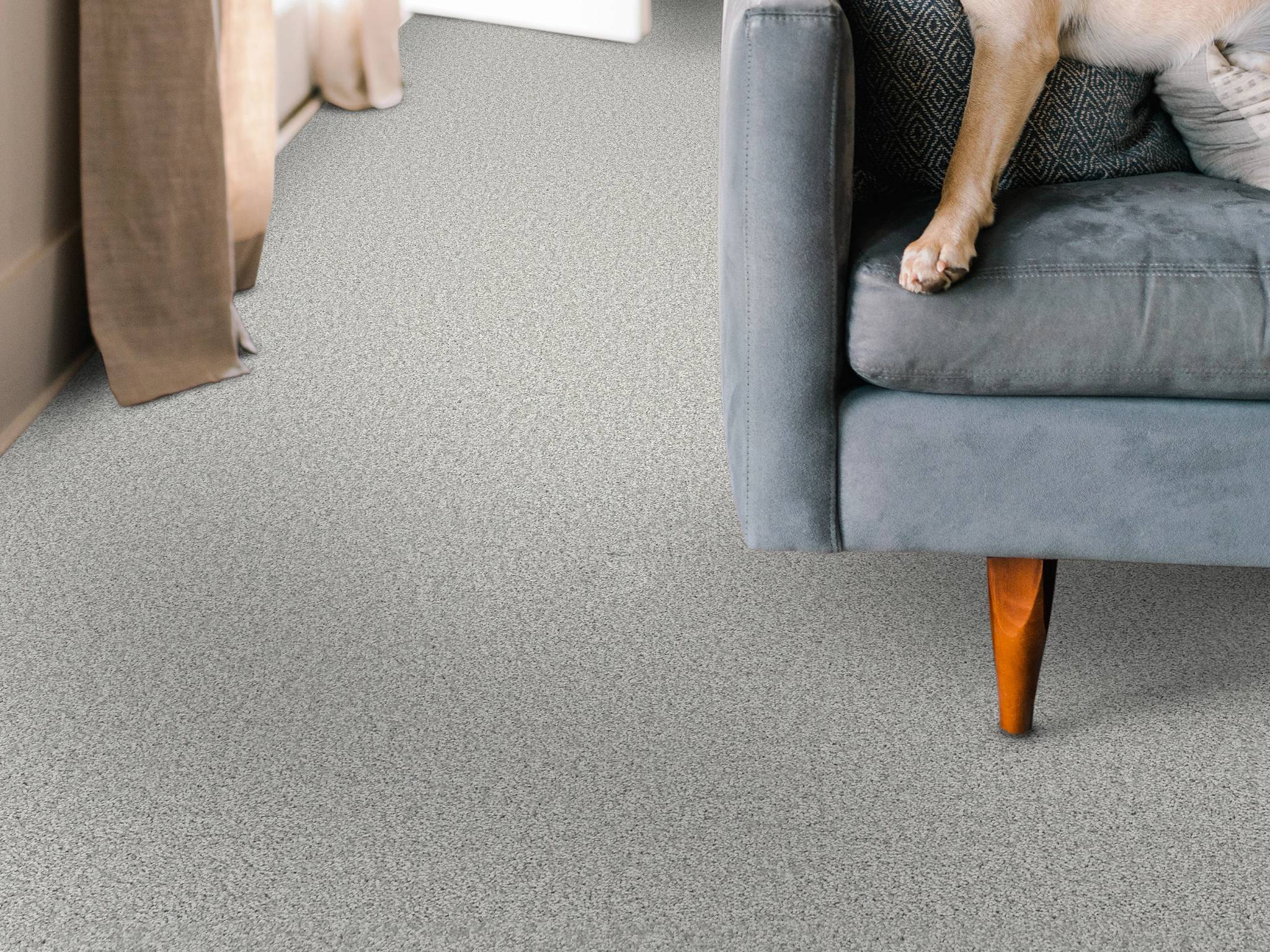 Style - Take My Word II,  Color - LILAC GRAY - Room Scene