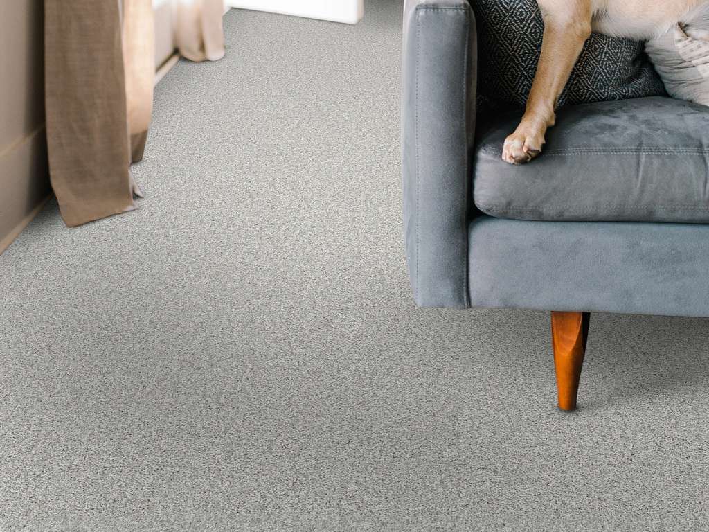 Take My Word II Carpet - Lilac Gray Room Scene Image