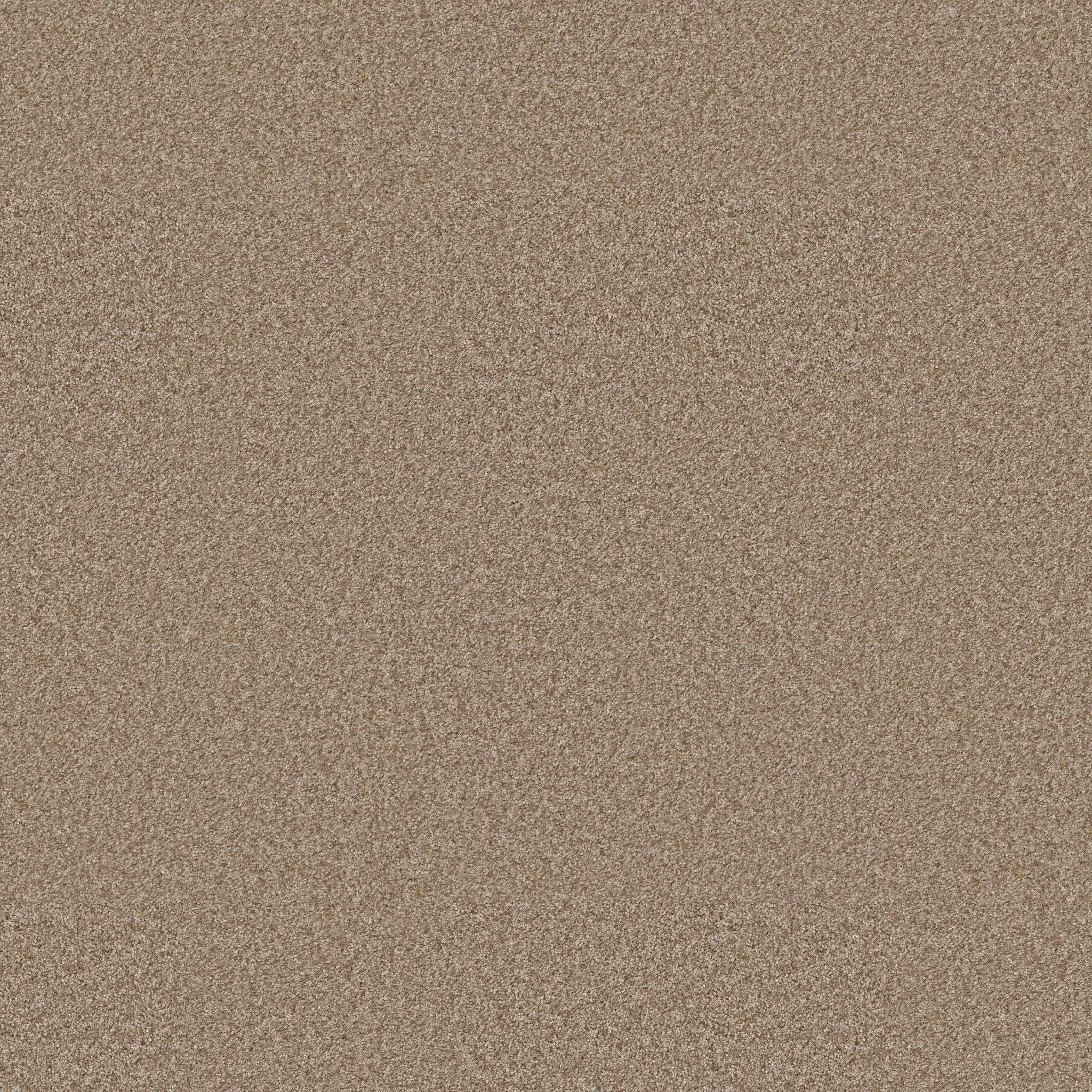 Take My Word II Carpet - Worn Path Zoomed Swatch Image