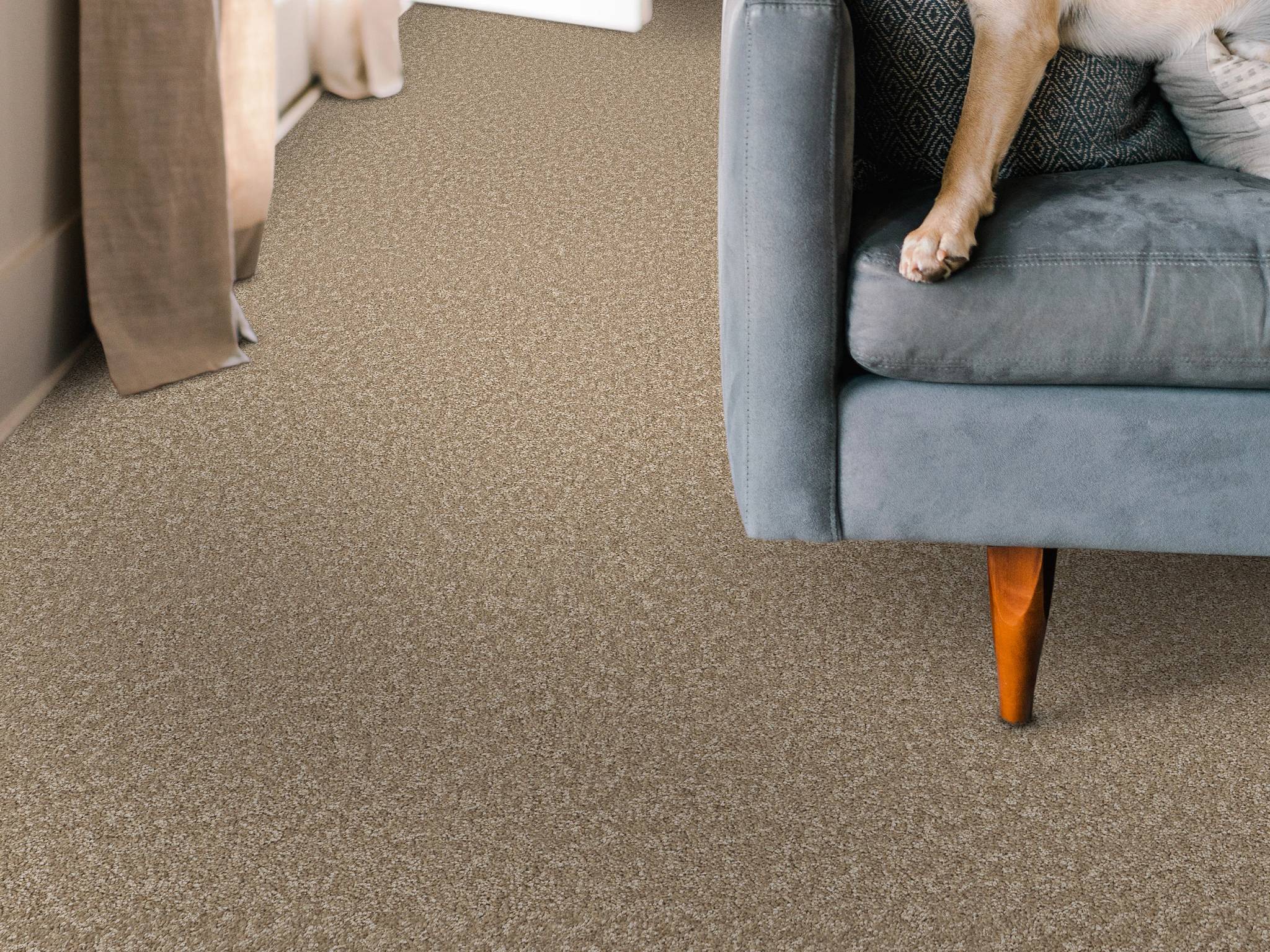 Style - Take My Word II,  Color - WORN PATH - Room Scene