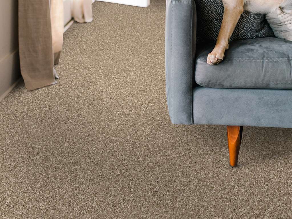 Take My Word II Carpet - Worn Path Room Scene Image