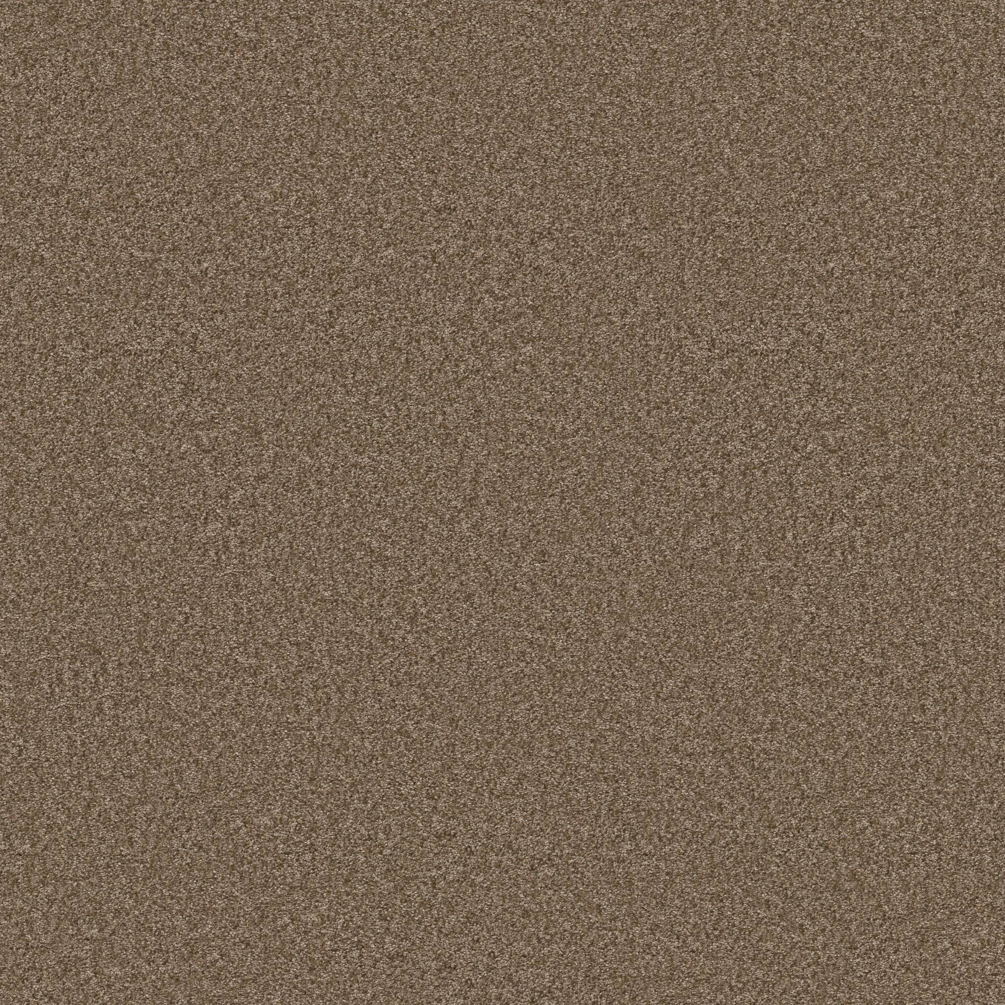 Take My Word II Carpet - Mission Ridge Zoomed Swatch Image