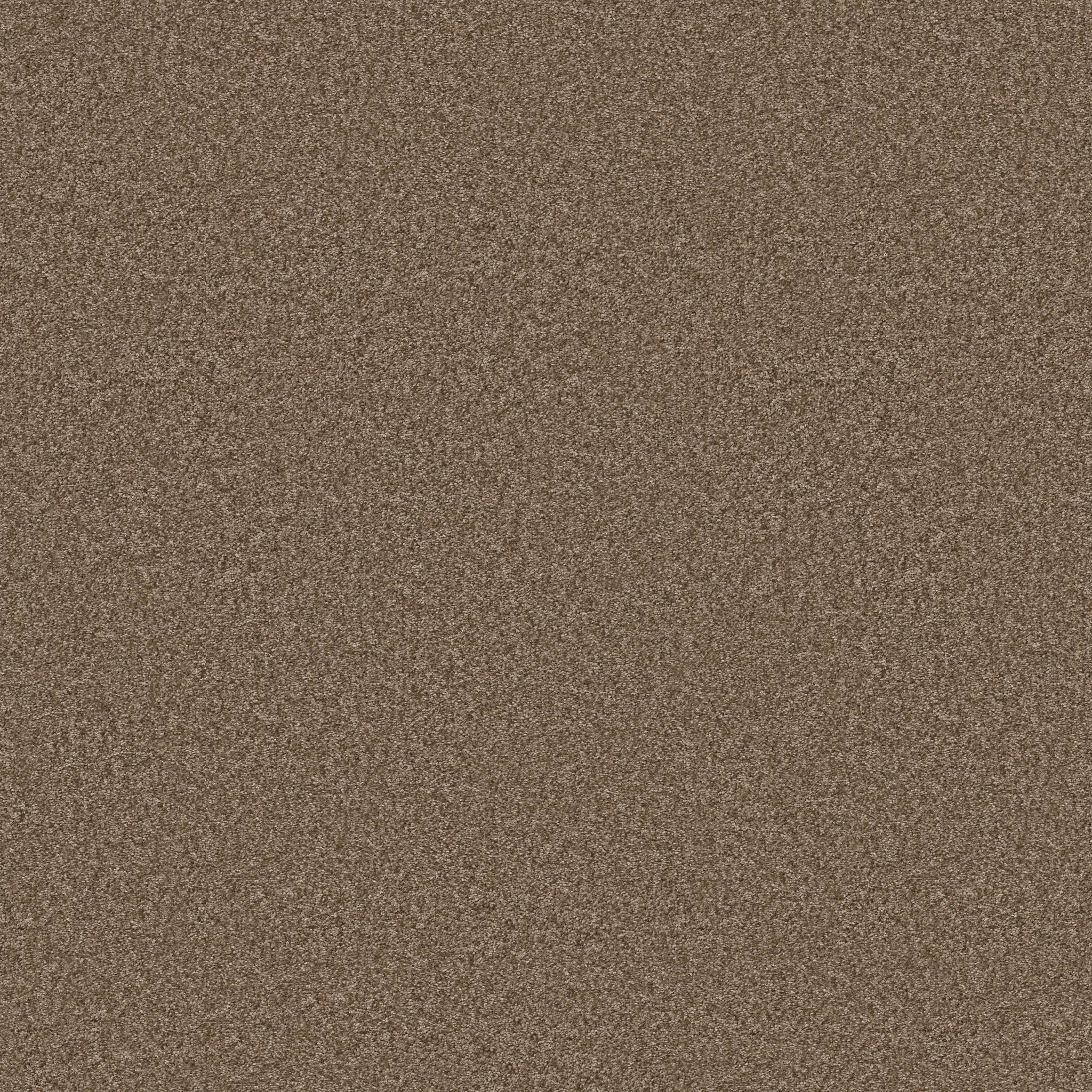 Take My Word II Carpet - Mission Ridge Zoomed Swatch Image