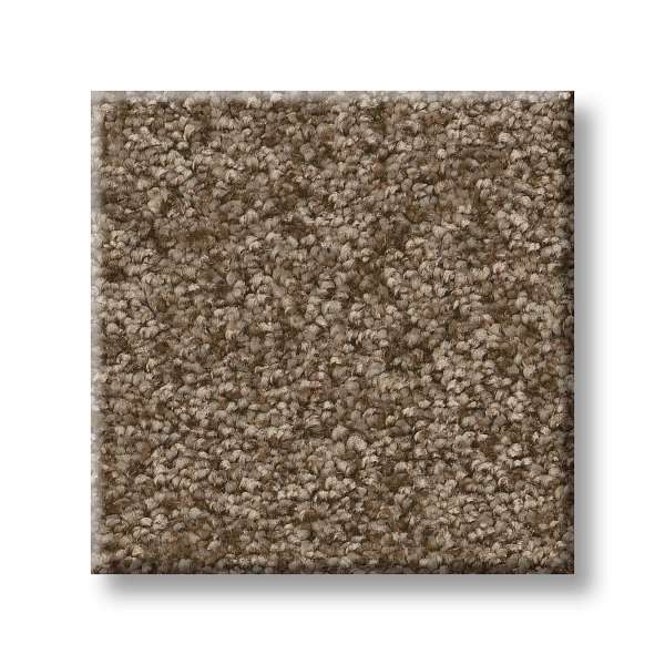 Style Take My Word II Carpet - Mission Ridge Swatch