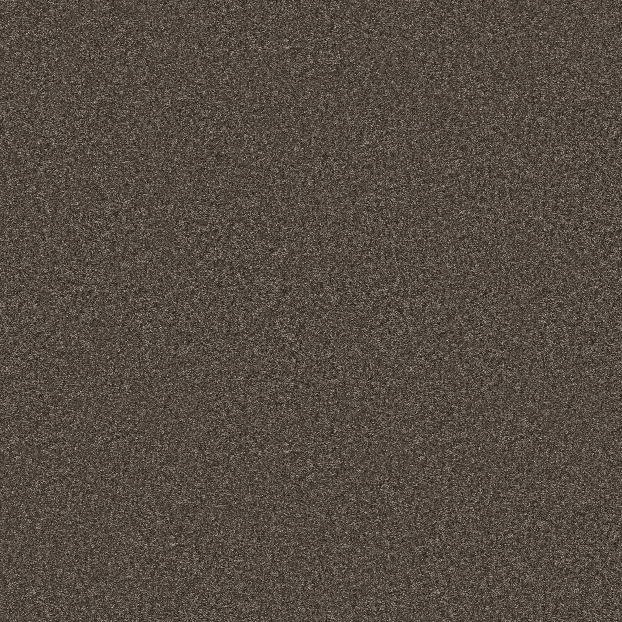 Take My Word II Carpet - Urban Rustic Zoomed Swatch Image