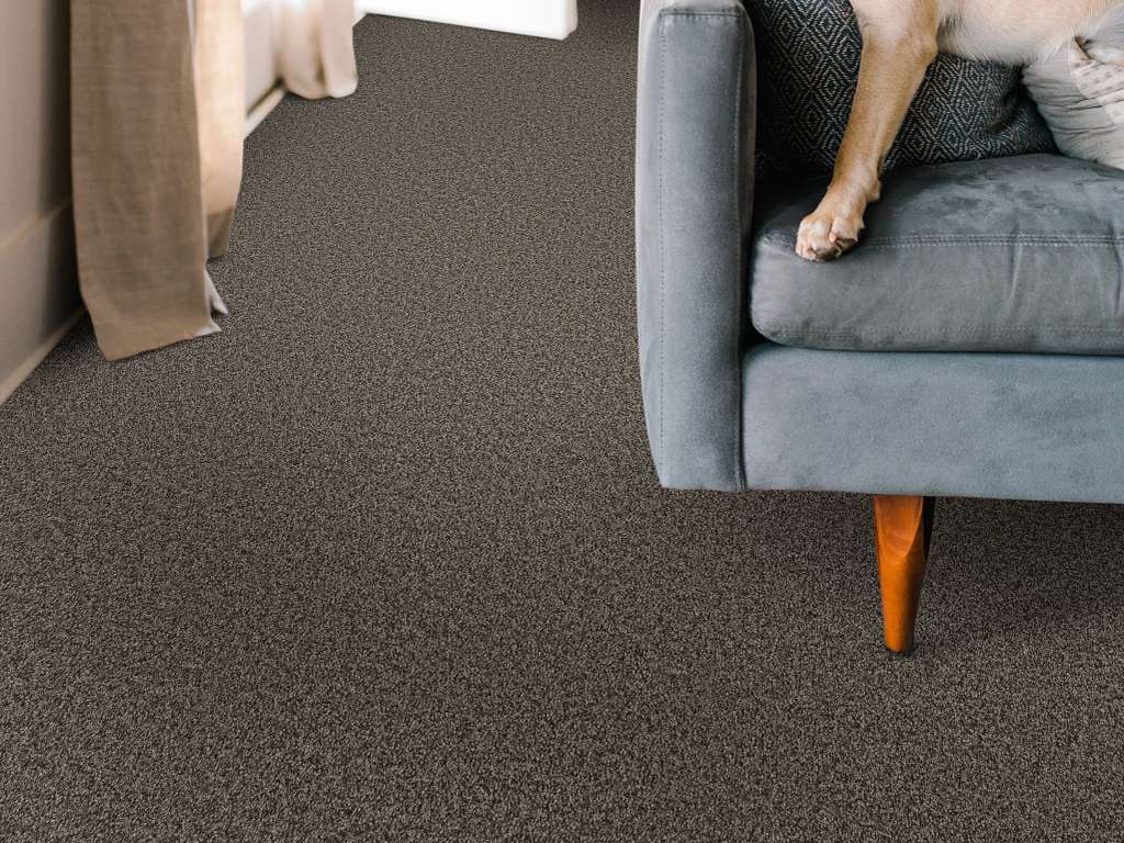 Take My Word II Carpet - Urban Rustic Room Scene Image