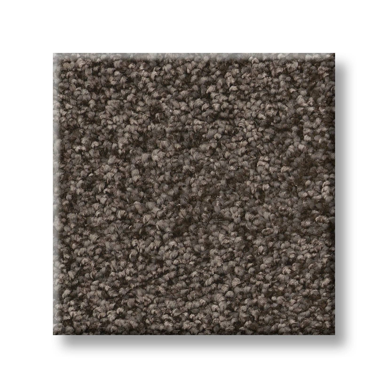 Take My Word II Carpet - Urban Rustic Swatch Thumbnail pupop1