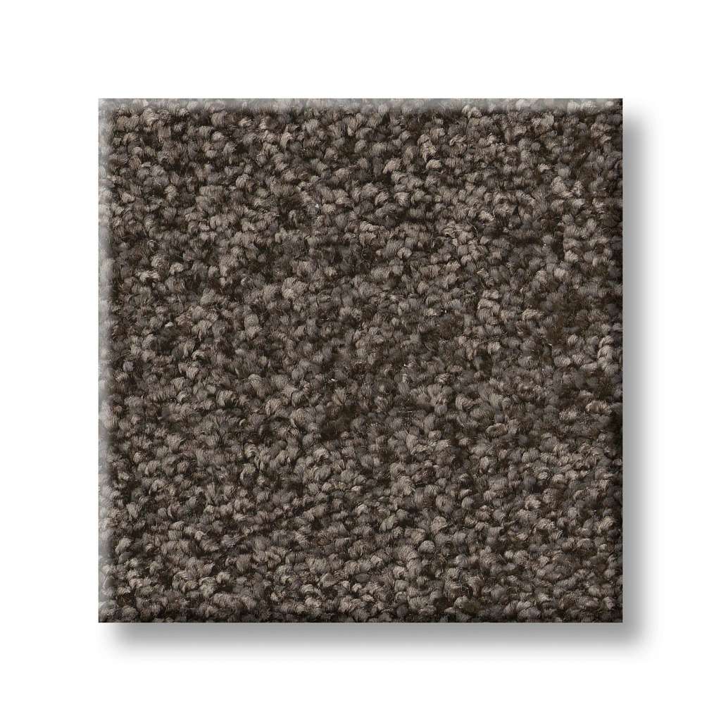 Take My Word II Carpet - Urban Rustic  Swatch Image 