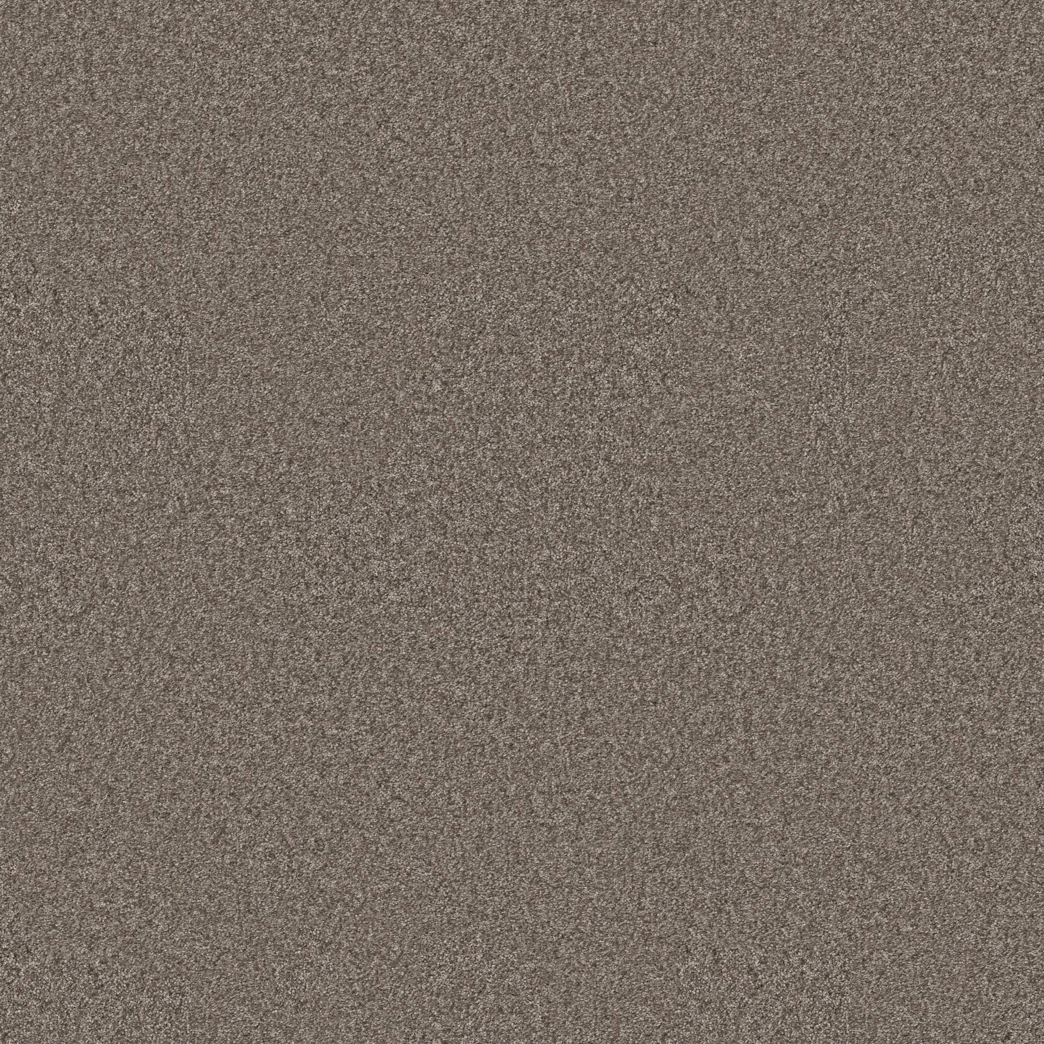 Take My Word II Carpet - Cobblestone Zoomed Swatch Image
