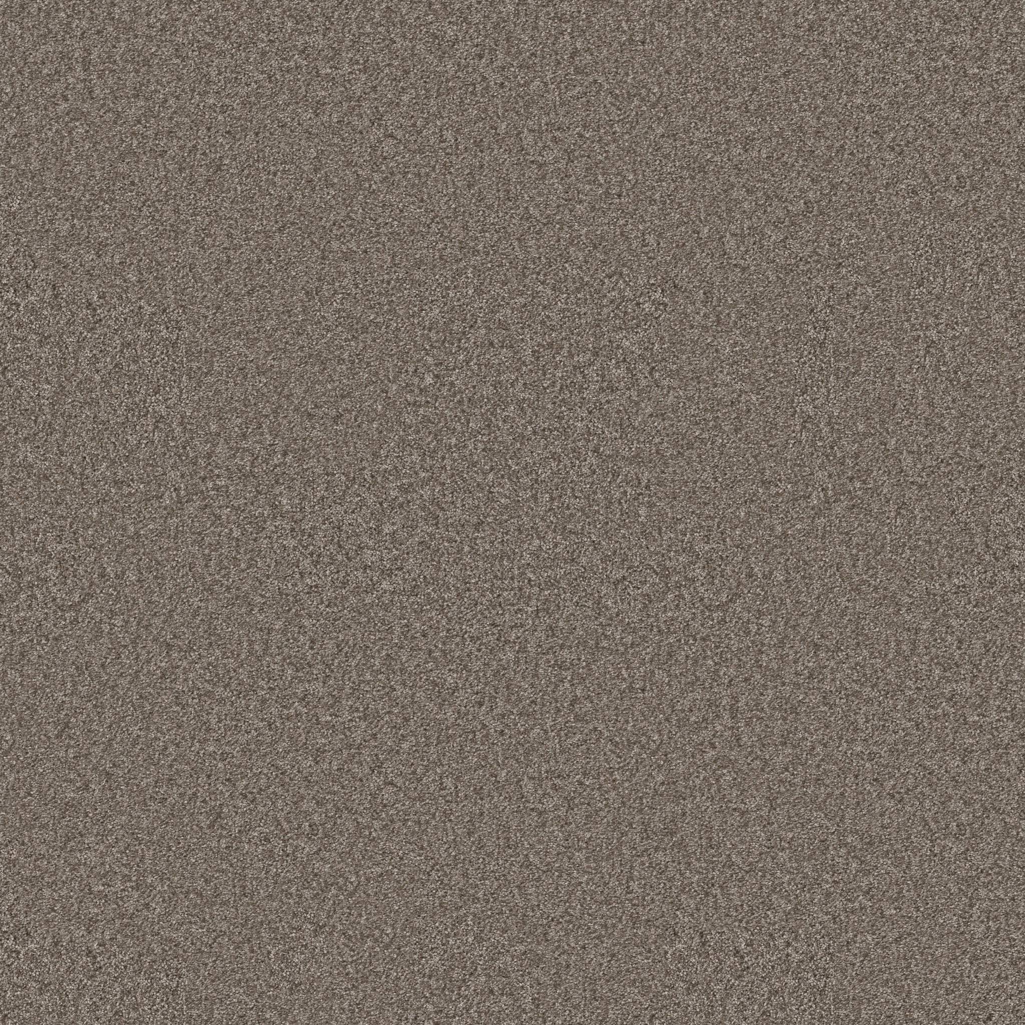 Take My Word II Carpet - Cobblestone Zoomed Swatch Image