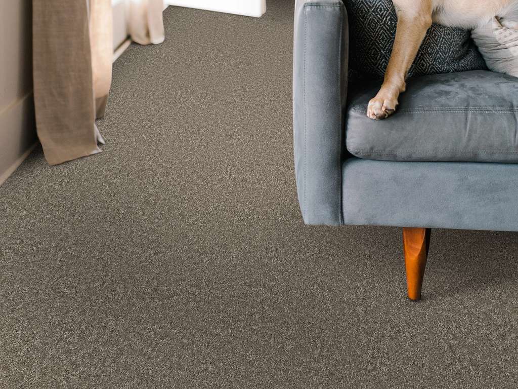 Take My Word II Carpet - Cobblestone Room Scene Image
