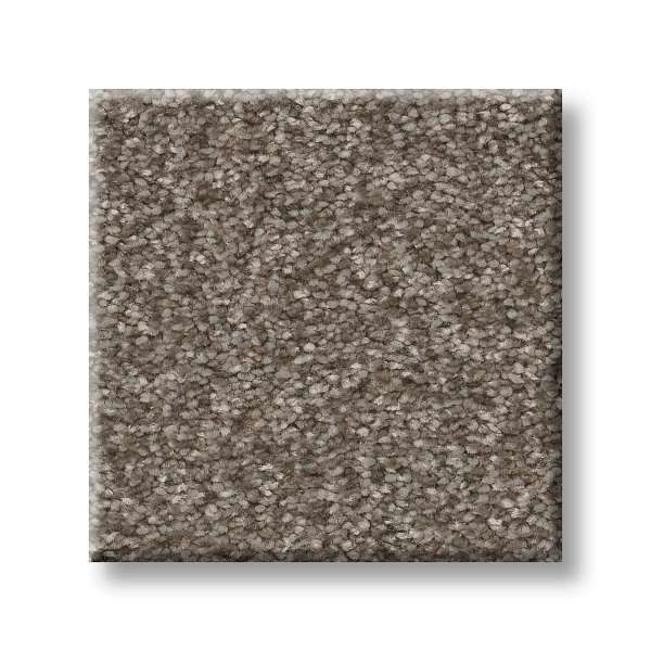 Style Take My Word II Carpet - Cobblestone Swatch