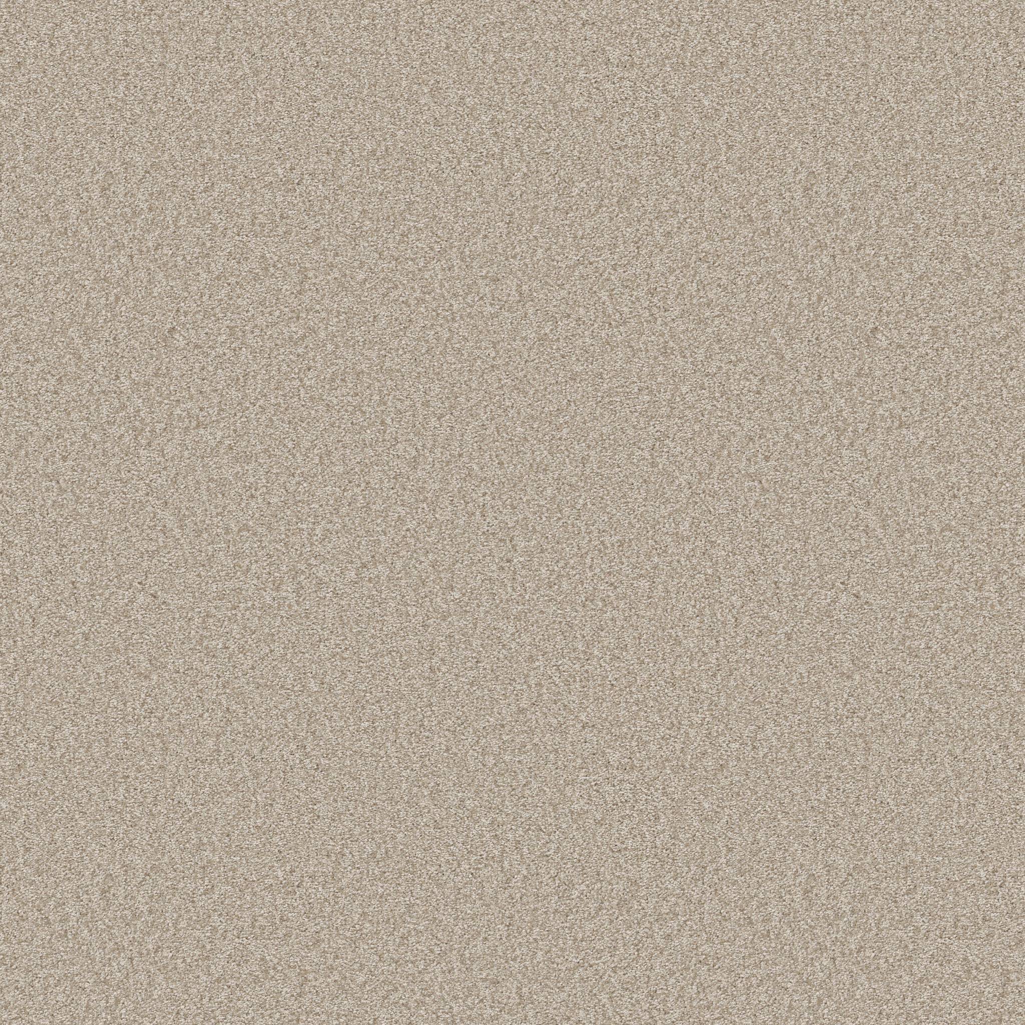 Take My Word III Carpet - Natural Zoomed Swatch Image