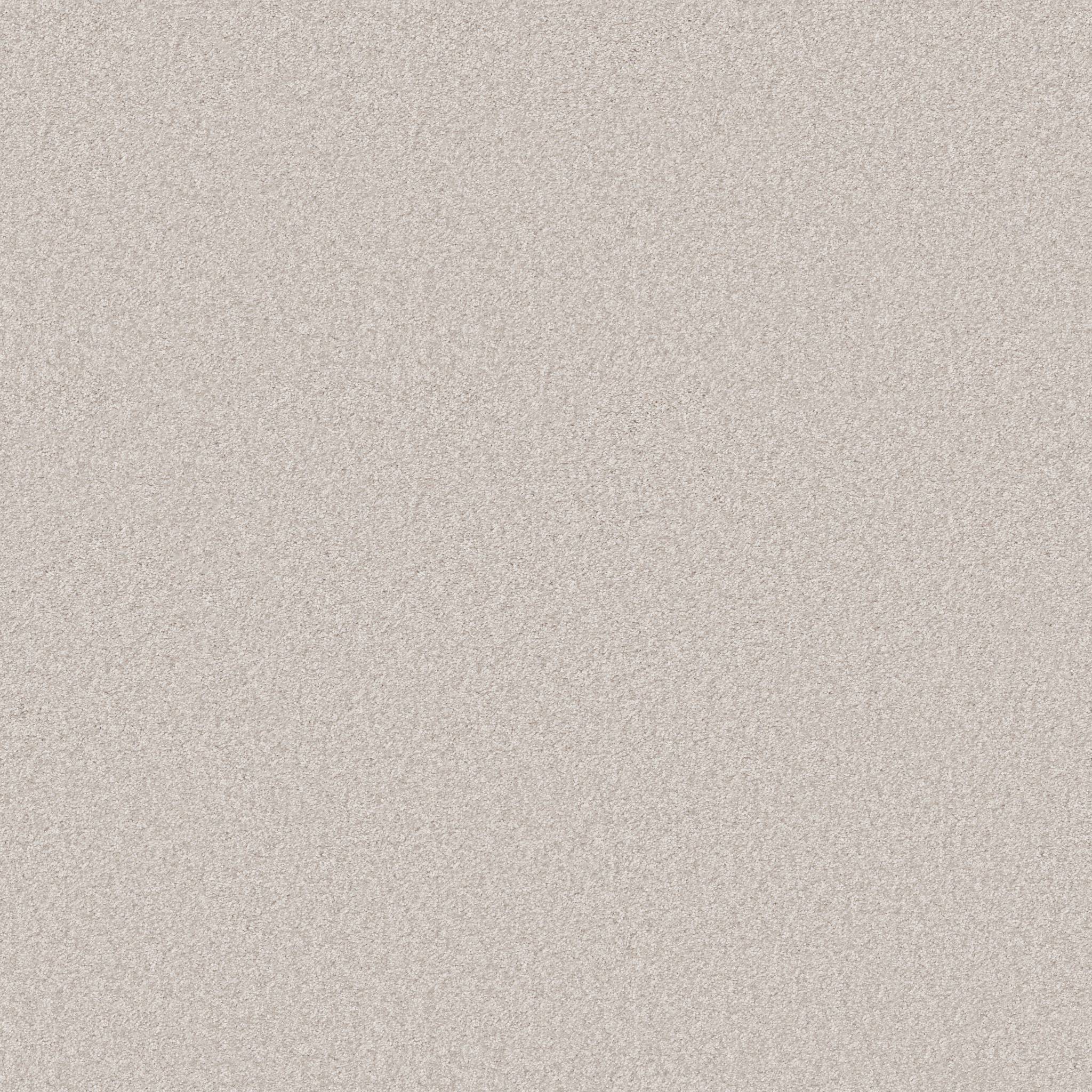 Take My Word III Carpet - Whitecap Zoomed Swatch Image