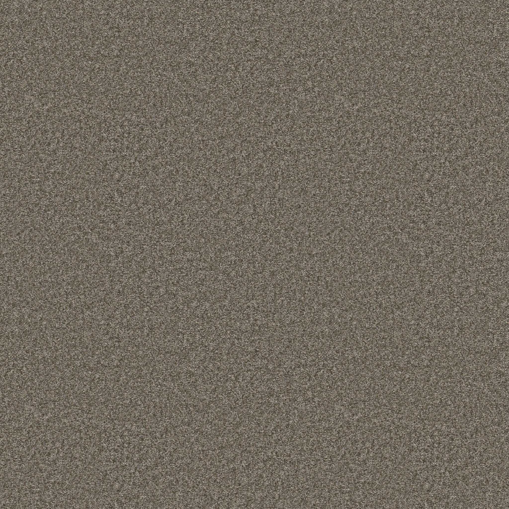 Take My Word III Carpet - Rerooted Nature Zoomed Swatch Image