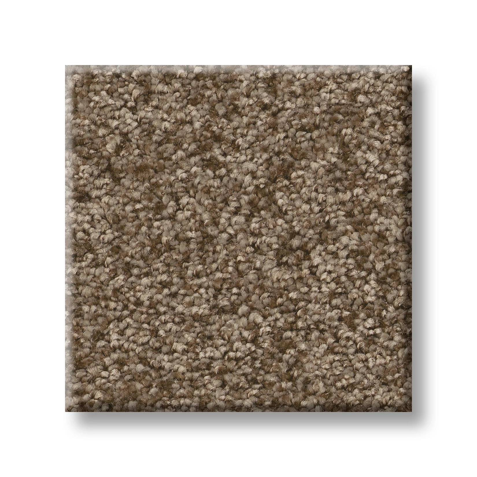 Take My Word III Carpet - Mission Ridge Swatch Thumbnail pupop1