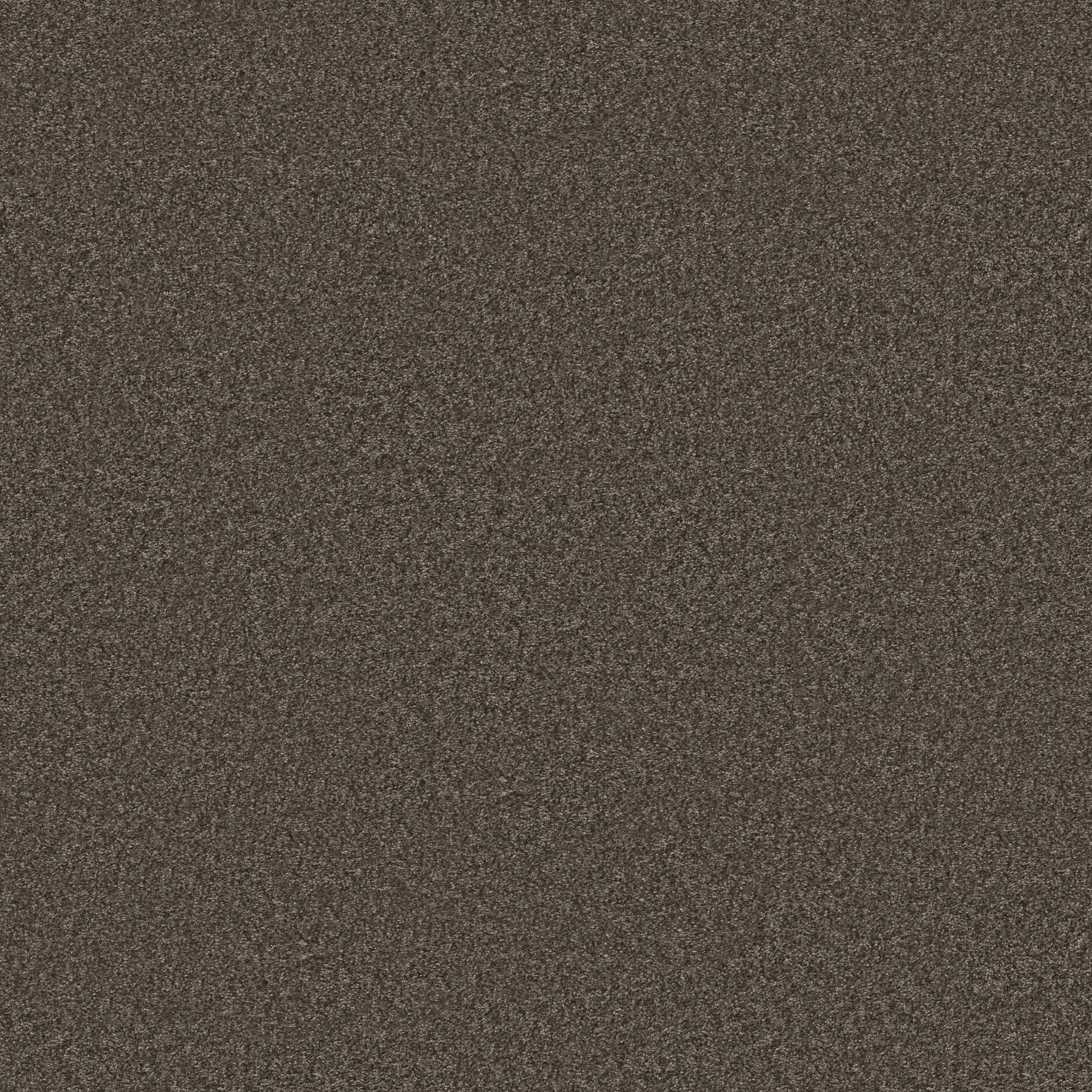 Take My Word III Carpet - Urban Rustic Zoomed Swatch Image
