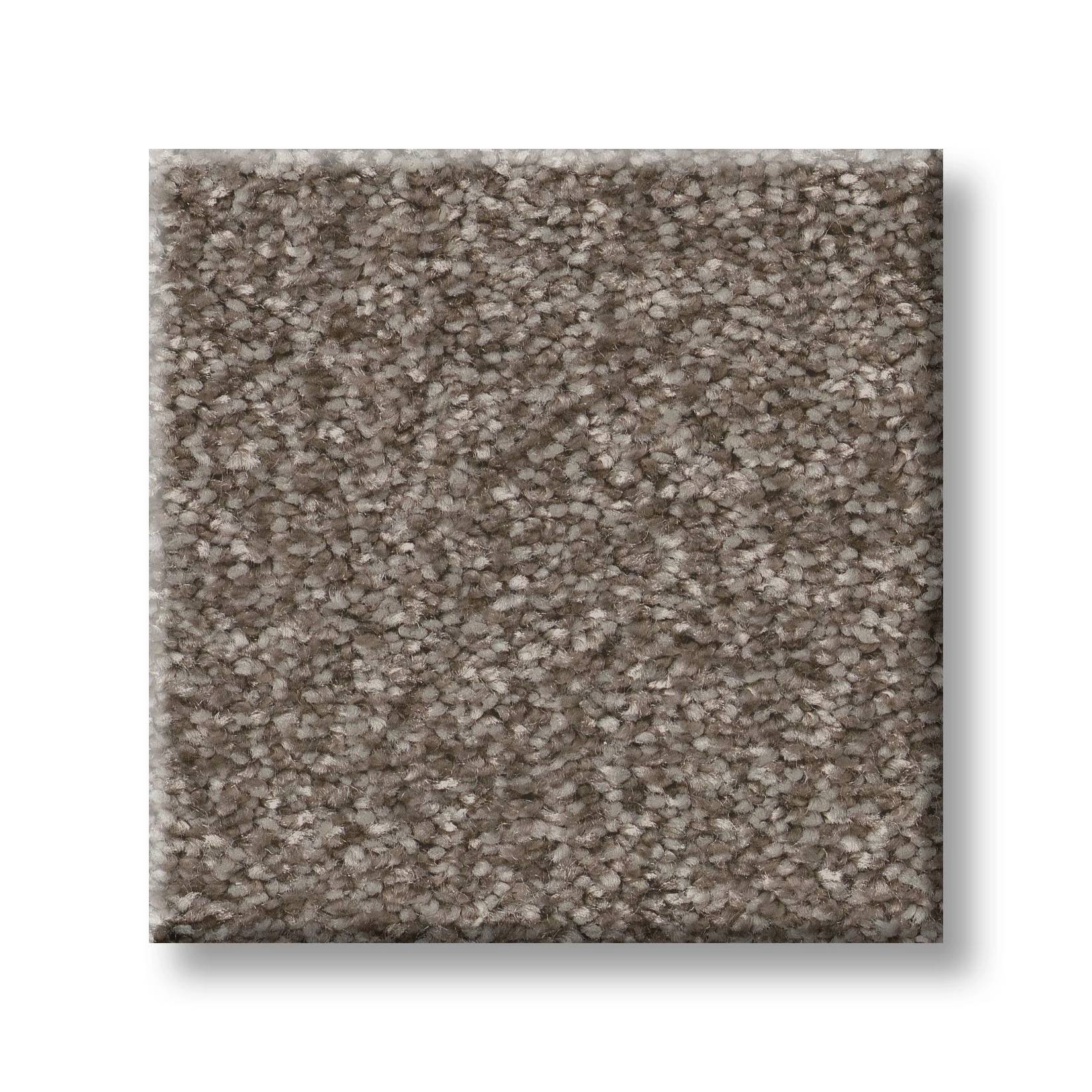 Take My Word III Carpet - Cobblestone Swatch Thumbnail pupop1