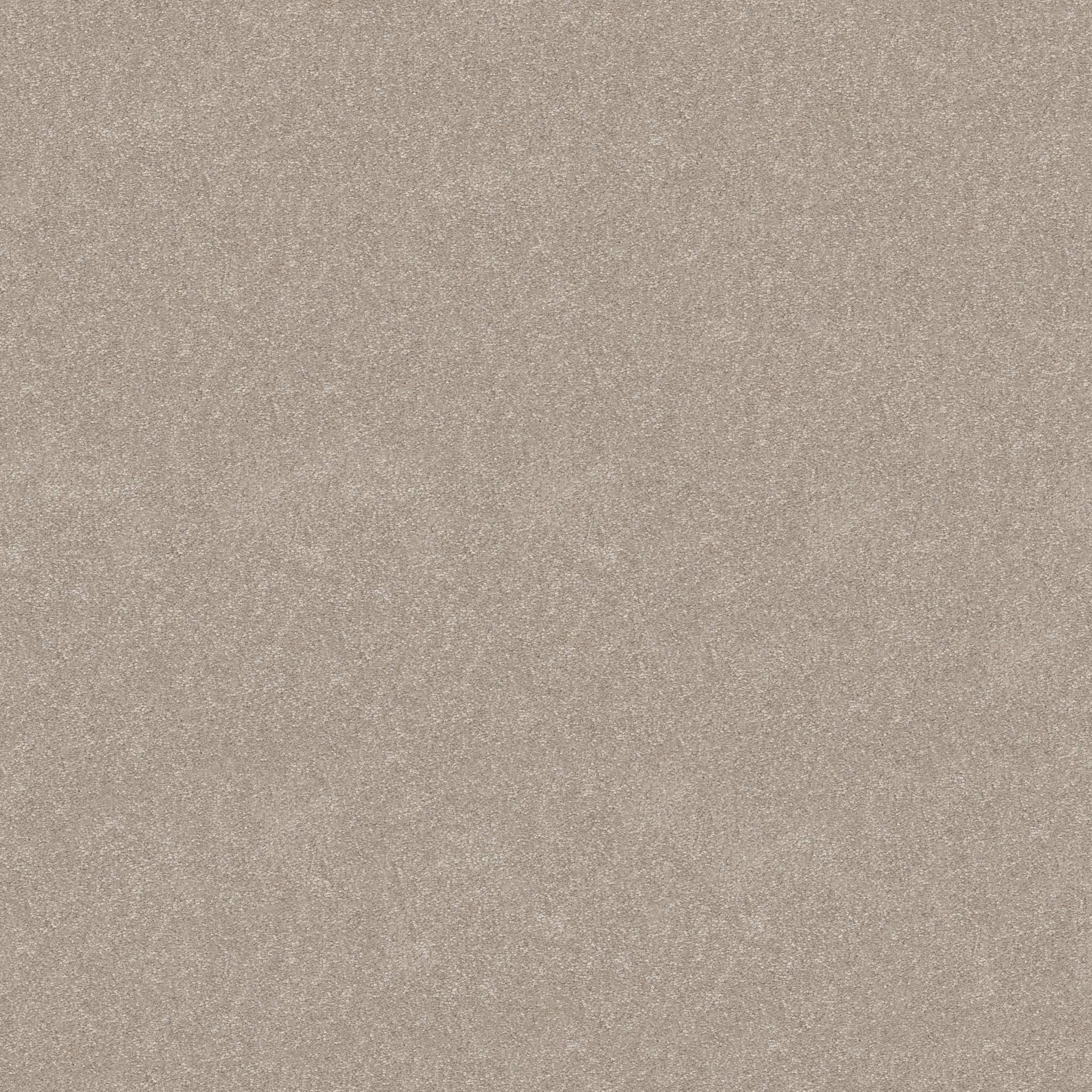 Tons Of Fun I Carpet - Soft Sense Zoomed Swatch Image