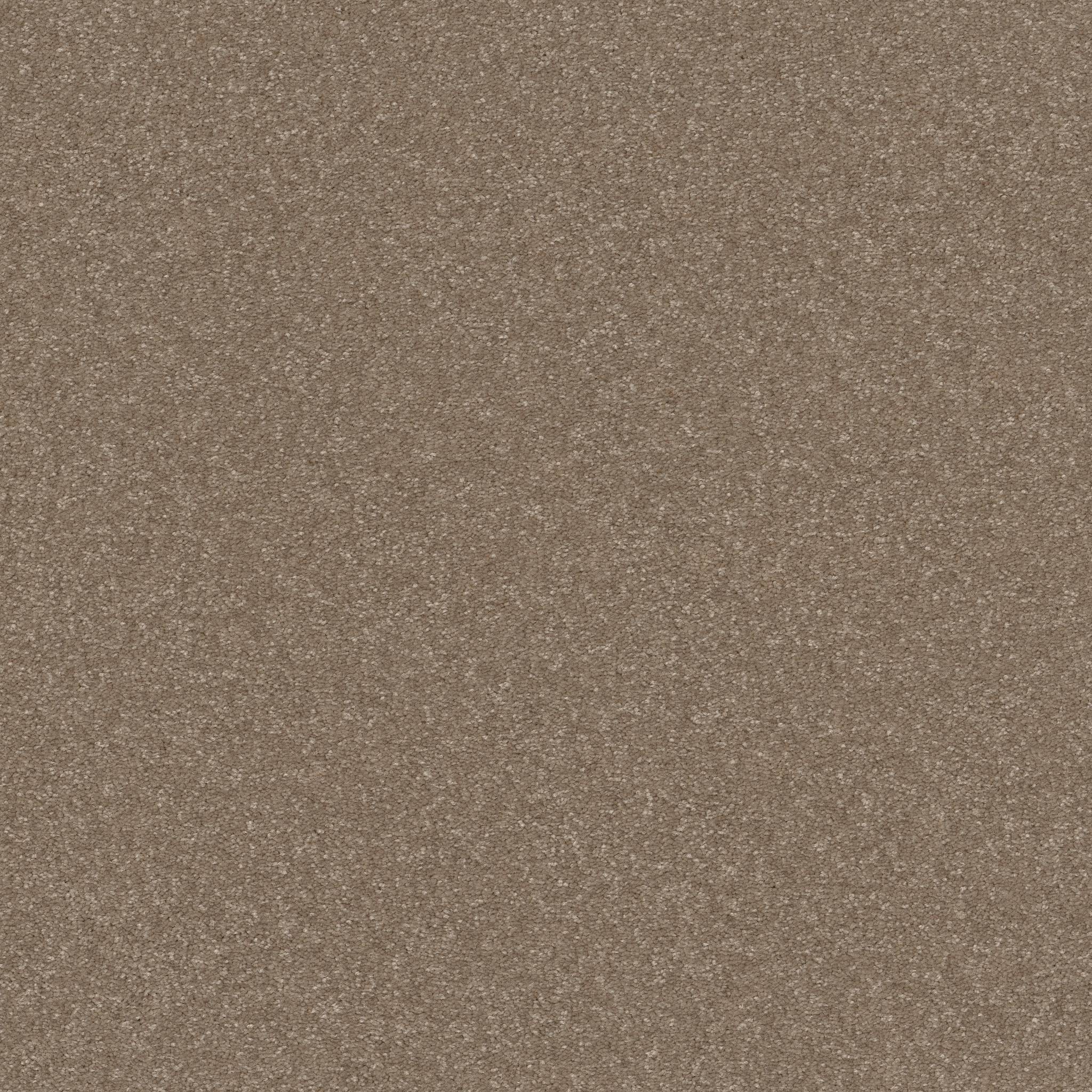 Tons Of Fun I Carpet - Cameo Zoomed Swatch Image