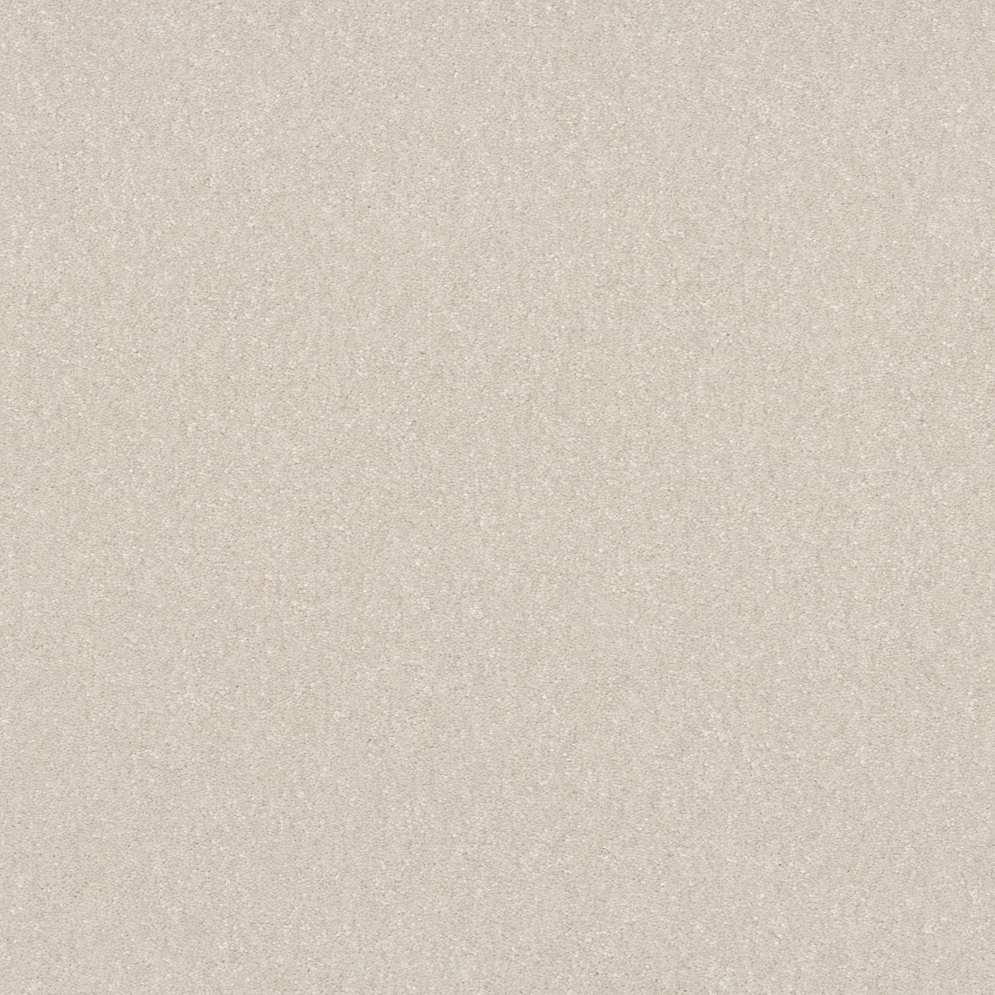 Tons Of Fun I Carpet - Snowfall Zoomed Swatch Image