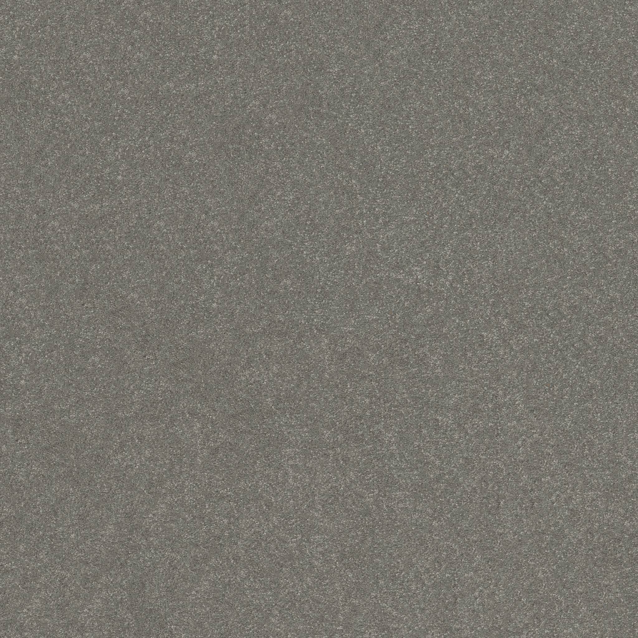 Tons Of Fun I Carpet - Shy Sage Zoomed Swatch Image