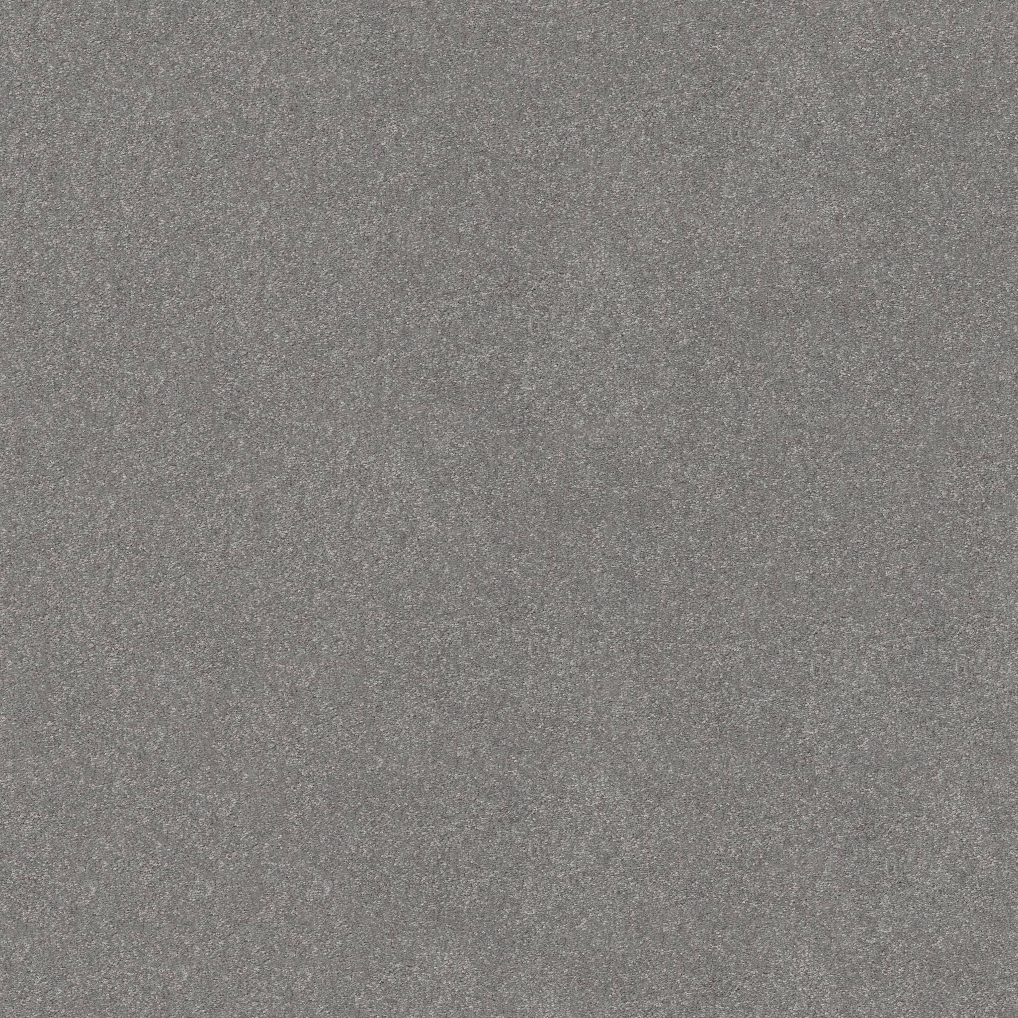 Tons Of Fun I Carpet - Vintage Zoomed Swatch Image