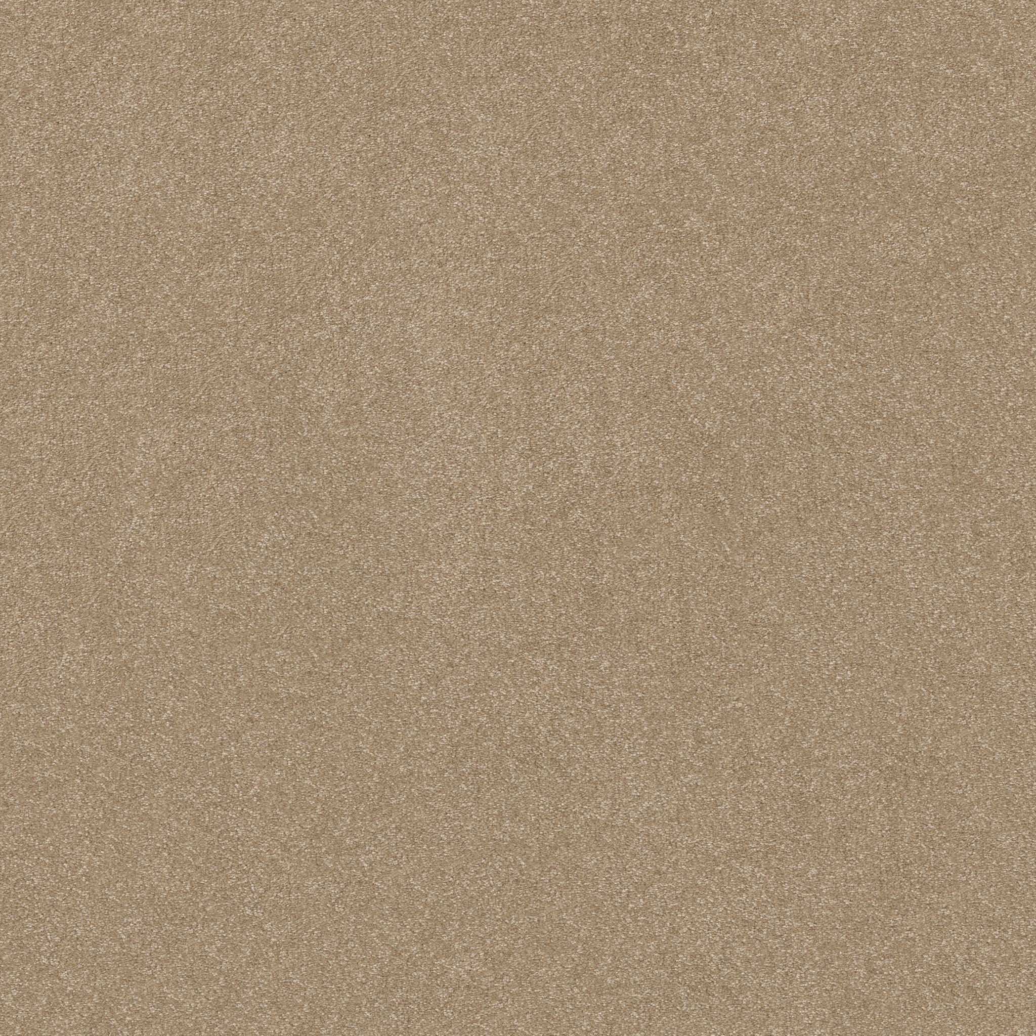 Tons Of Fun I Carpet - Worn Path Zoomed Swatch Image