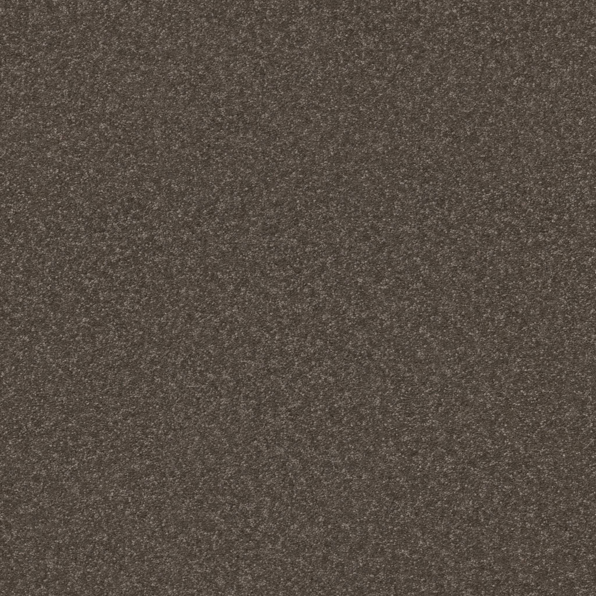 Tons Of Fun I Carpet - Urban Rustic Zoomed Swatch Image