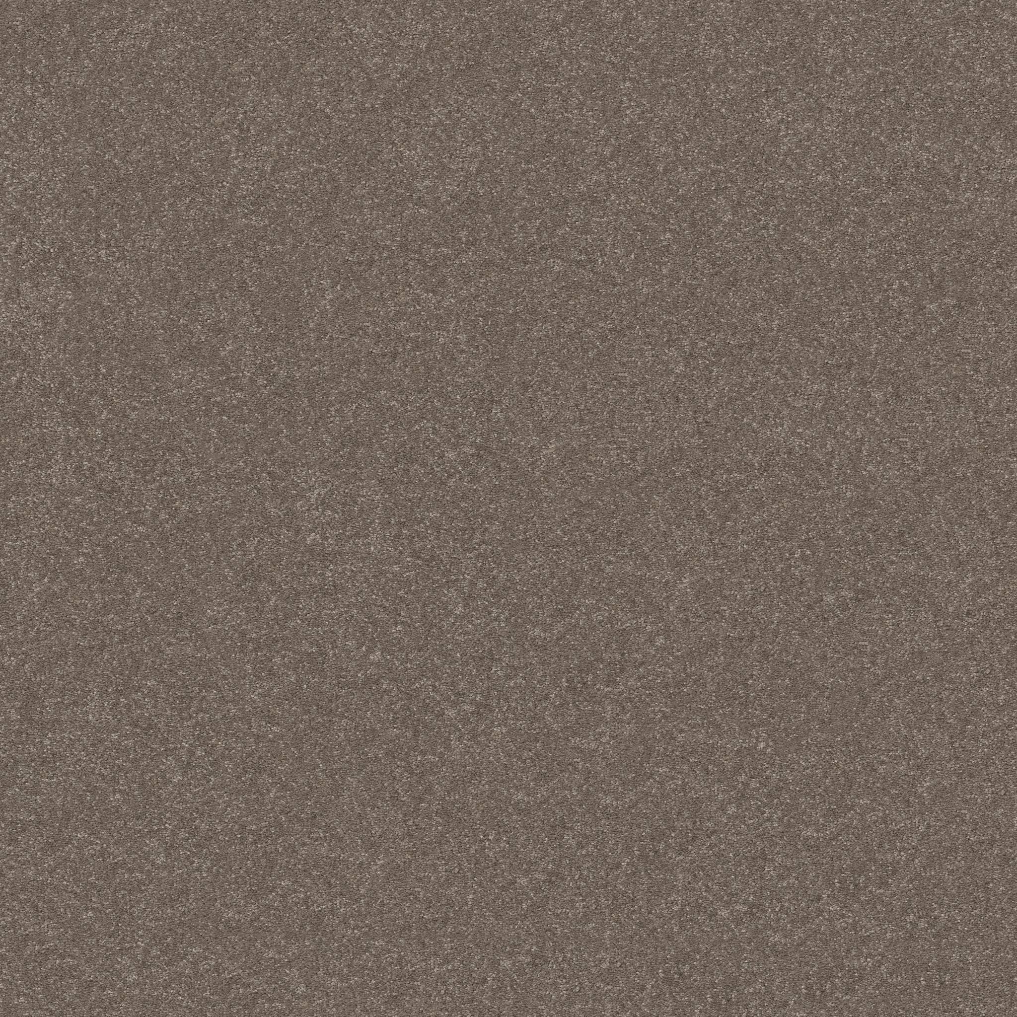 Tons Of Fun I Carpet - Cobblestone Zoomed Swatch Image