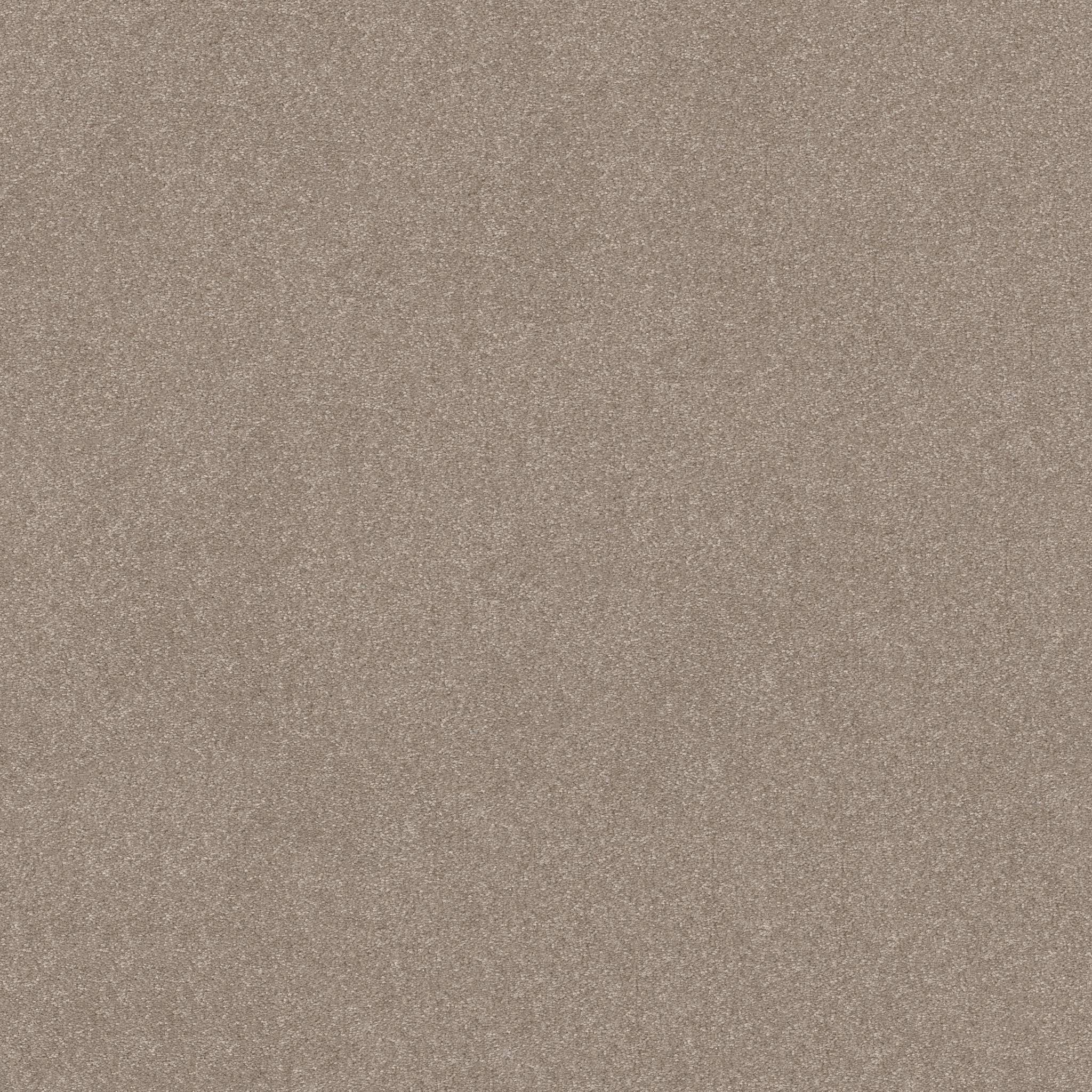 Tons Of Fun II Carpet - Glacier Zoomed Swatch Image