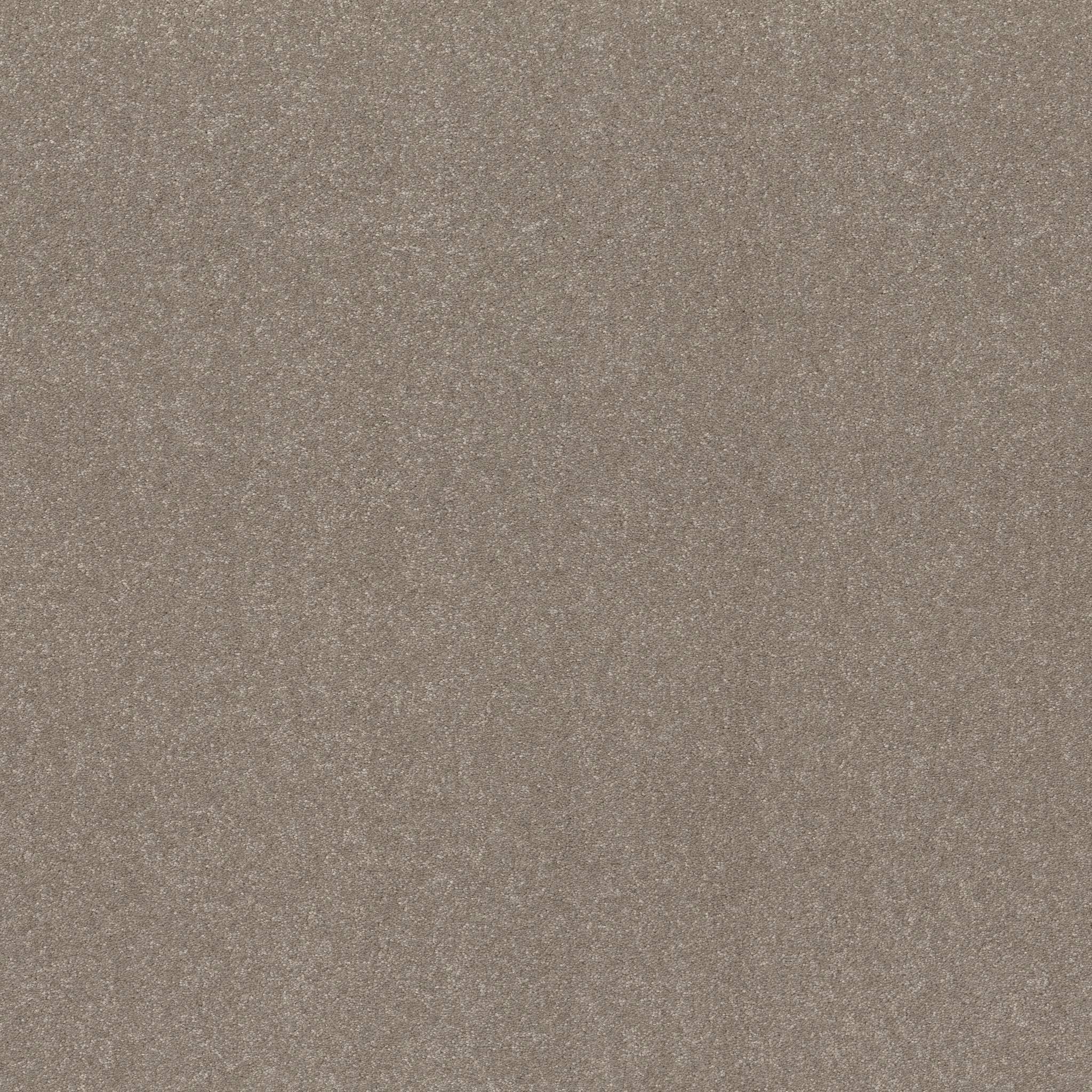 Tons Of Fun II Carpet - Chic Greige Zoomed Swatch Image