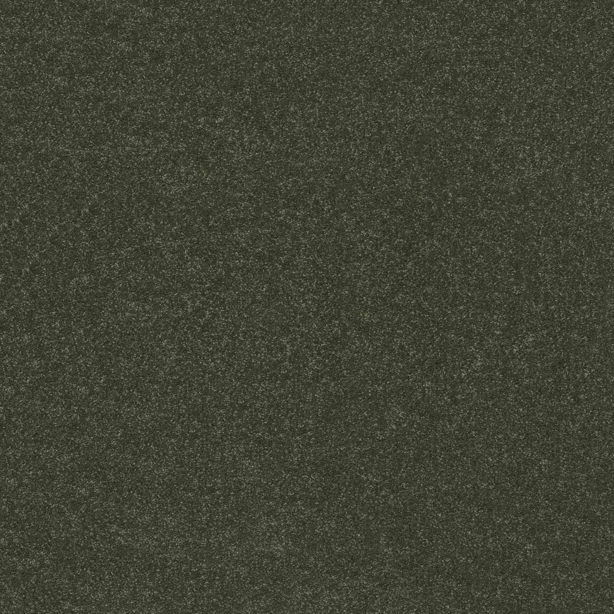 Tons Of Fun II Carpet - Rerooted Nature Zoomed Swatch Image