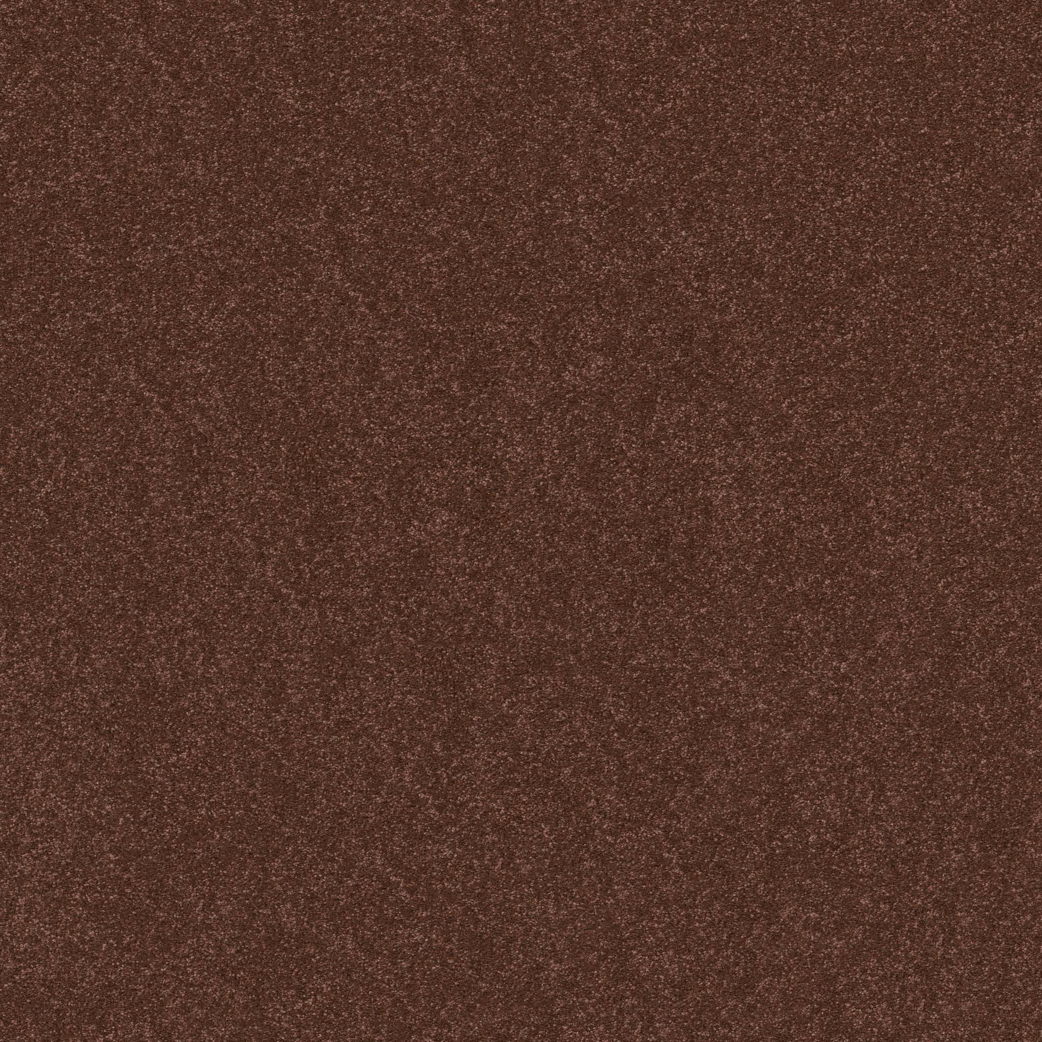 Tons Of Fun II Carpet - Orange Oxide Zoomed Swatch Image