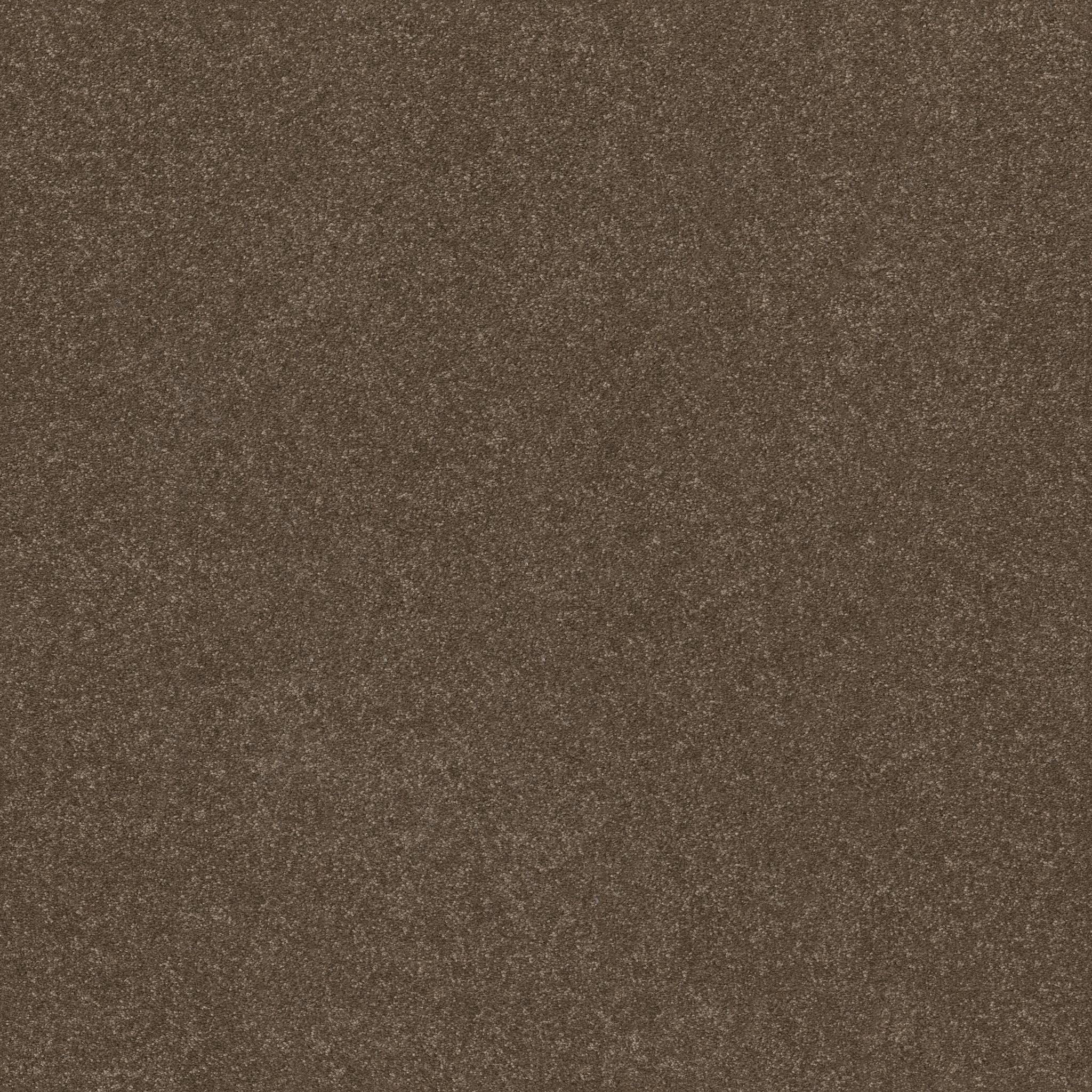 Tons Of Fun II Carpet - Mission Ridge Zoomed Swatch Image