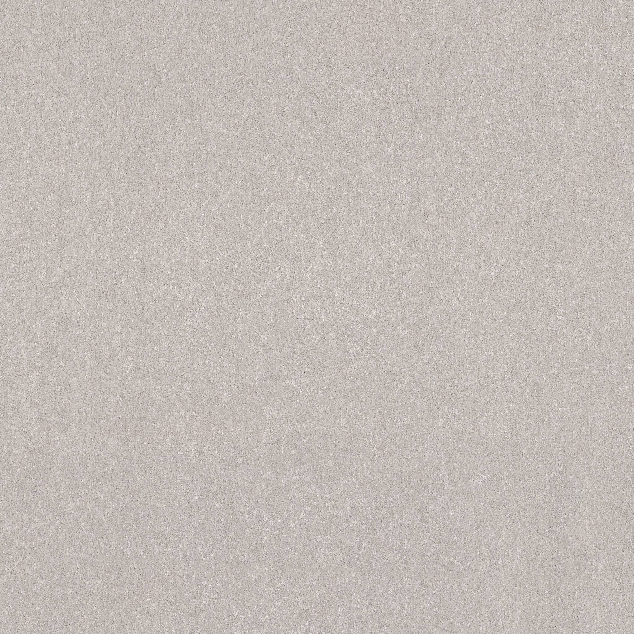 Tons Of Fun III Carpet - Frozen Zoomed Swatch Image