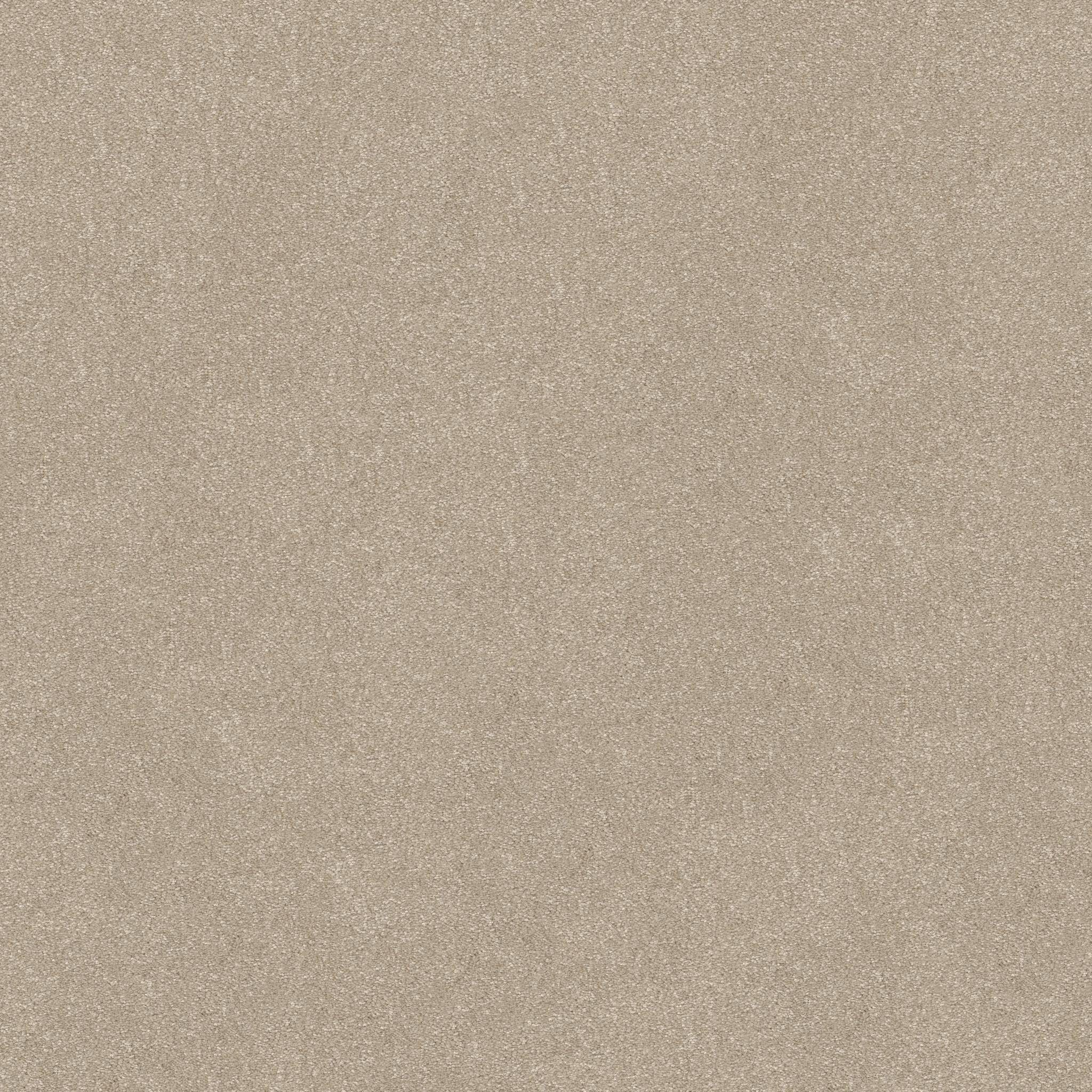 Tons Of Fun III Carpet - Natural Zoomed Swatch Image