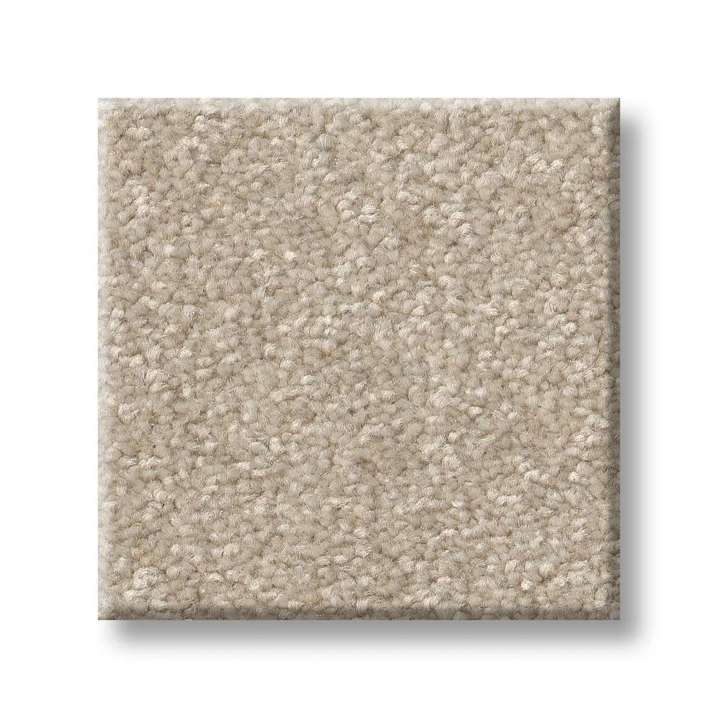 Tons Of Fun III Carpet - Natural  Swatch Image 