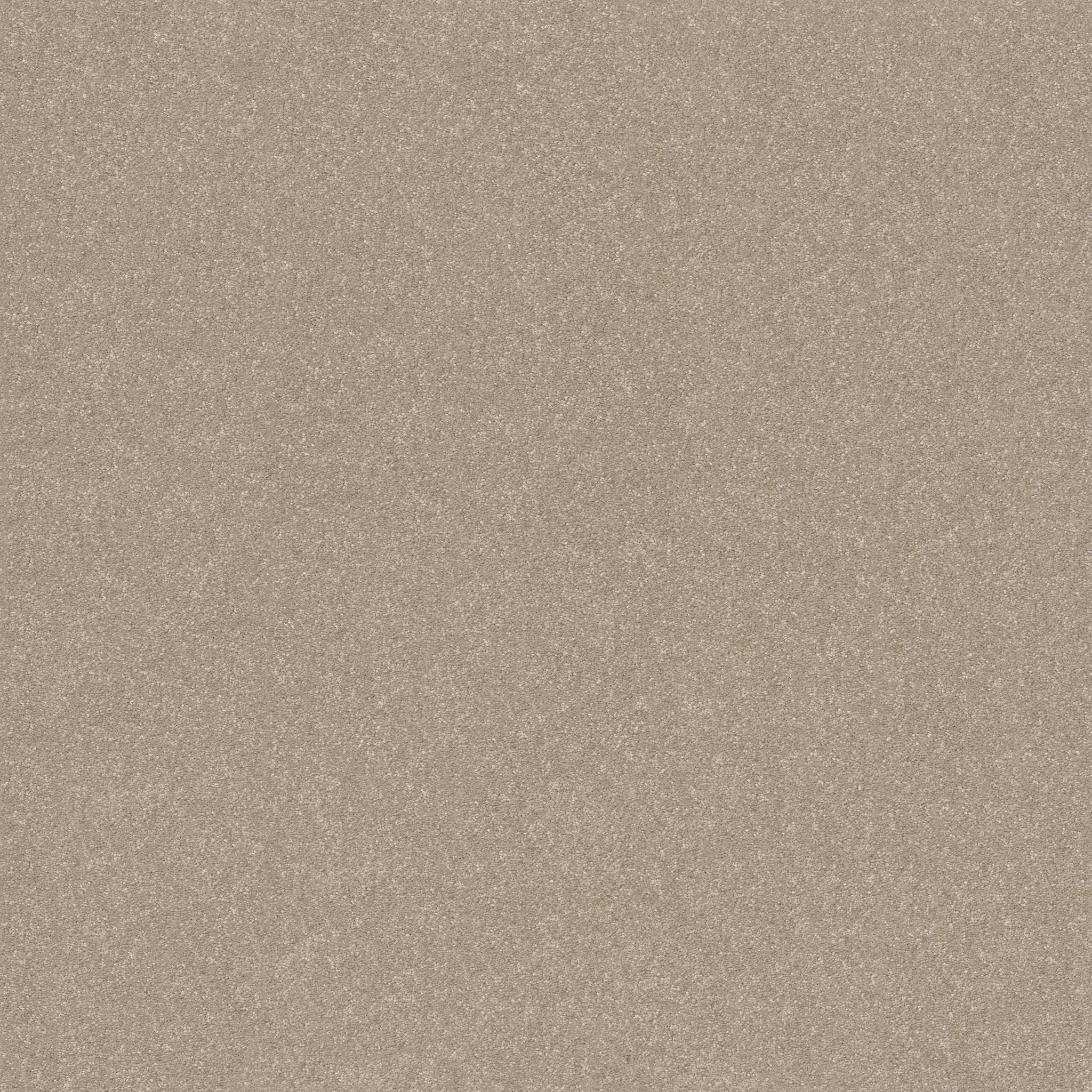 Tons Of Fun III Carpet - Subtle Clay Zoomed Swatch Image