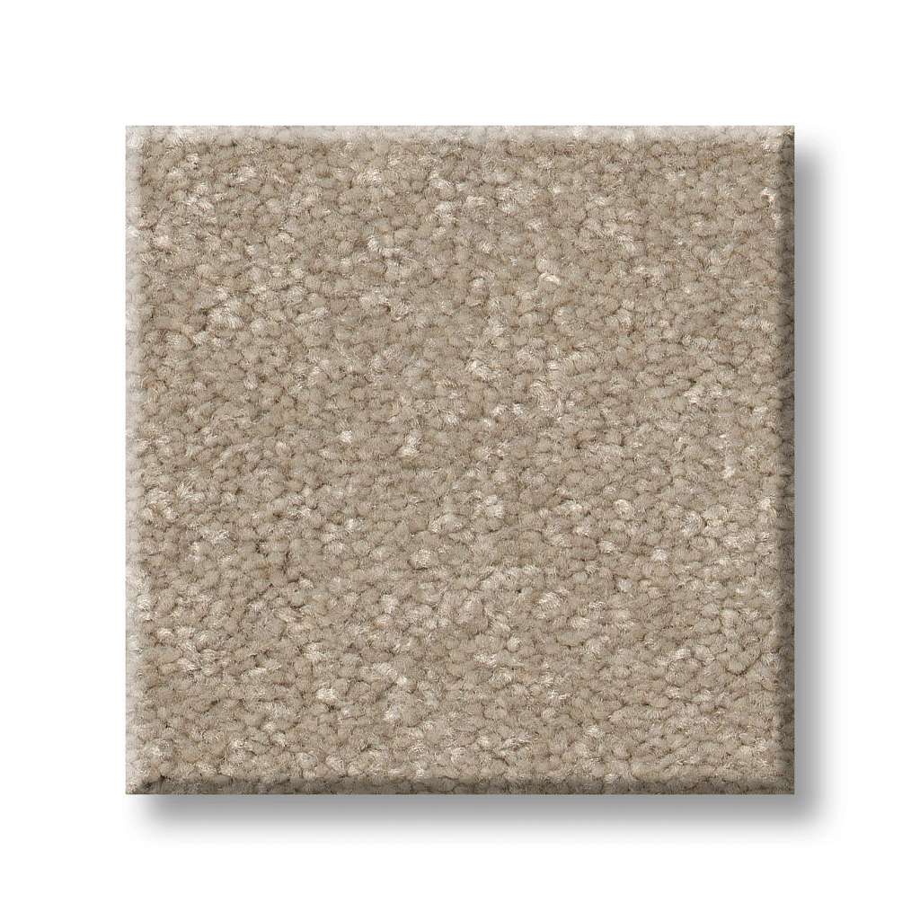 Tons Of Fun III Carpet - Subtle Clay  Swatch Image 