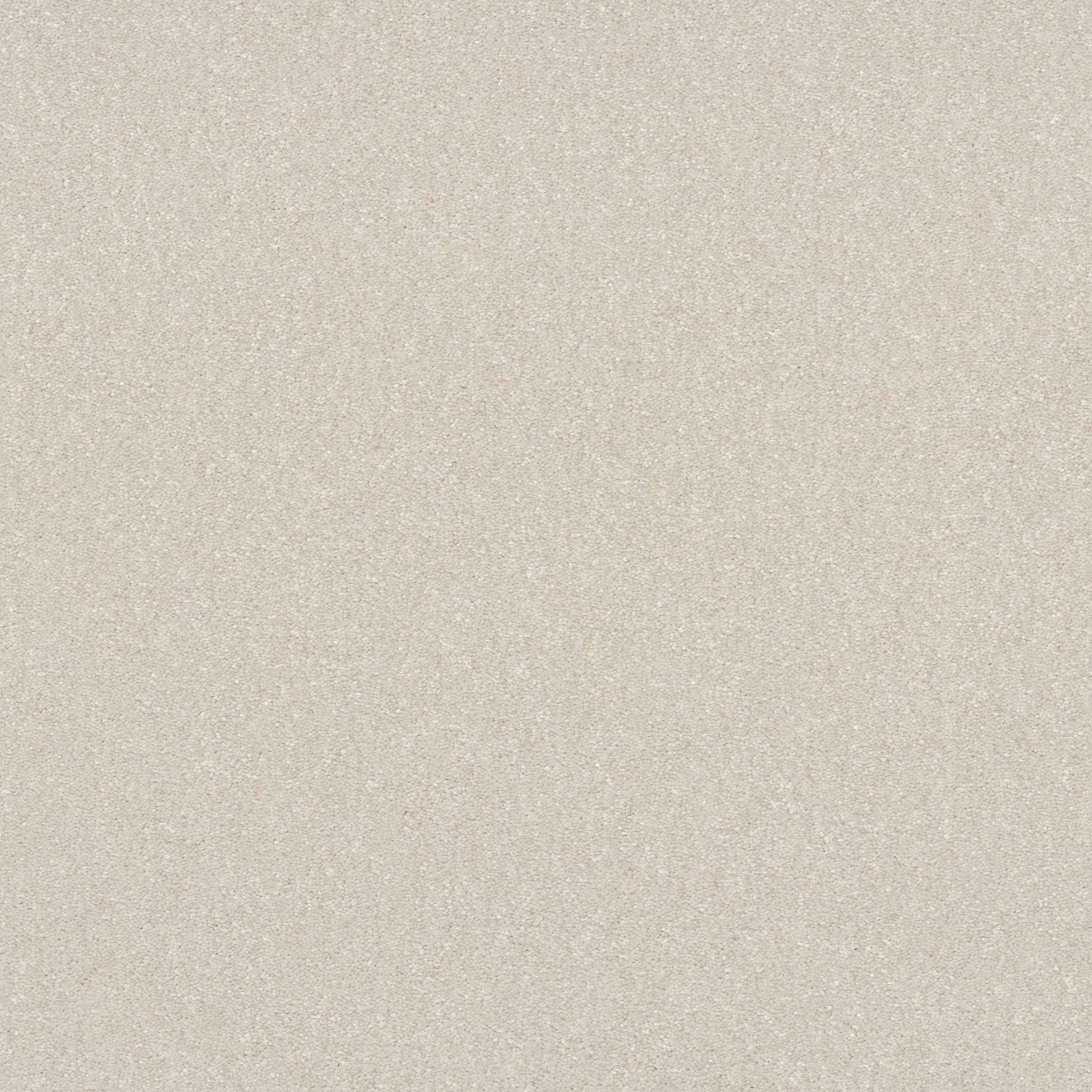 Tons Of Fun III Carpet - Snowfall Zoomed Swatch Image