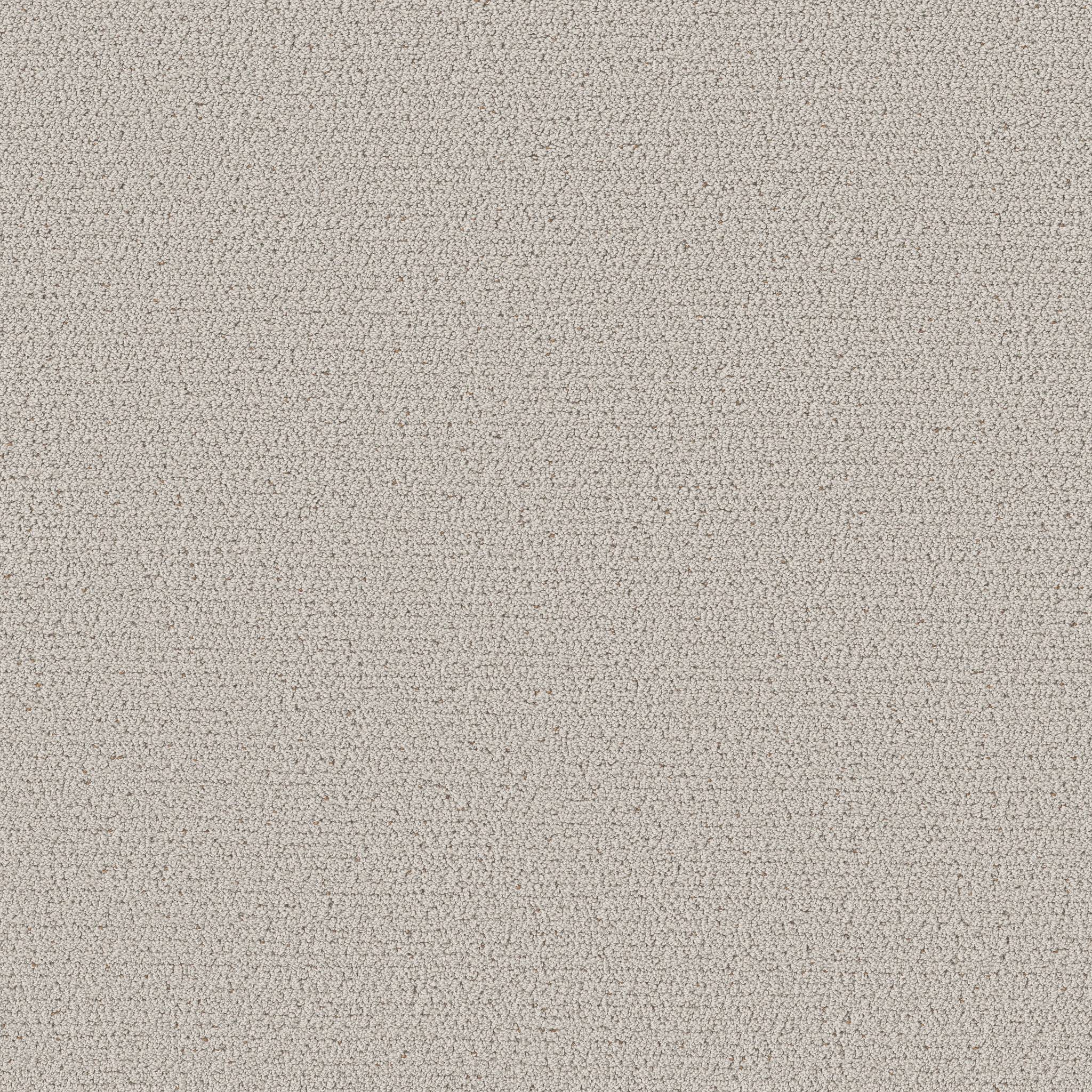 Ornate Detail Carpet - Cashmere Zoomed Swatch Image