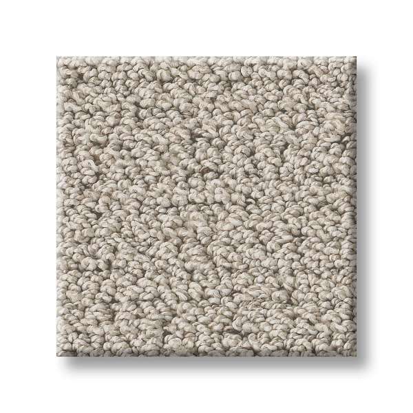 Style Ornate Detail Carpet - River Birch Swatch