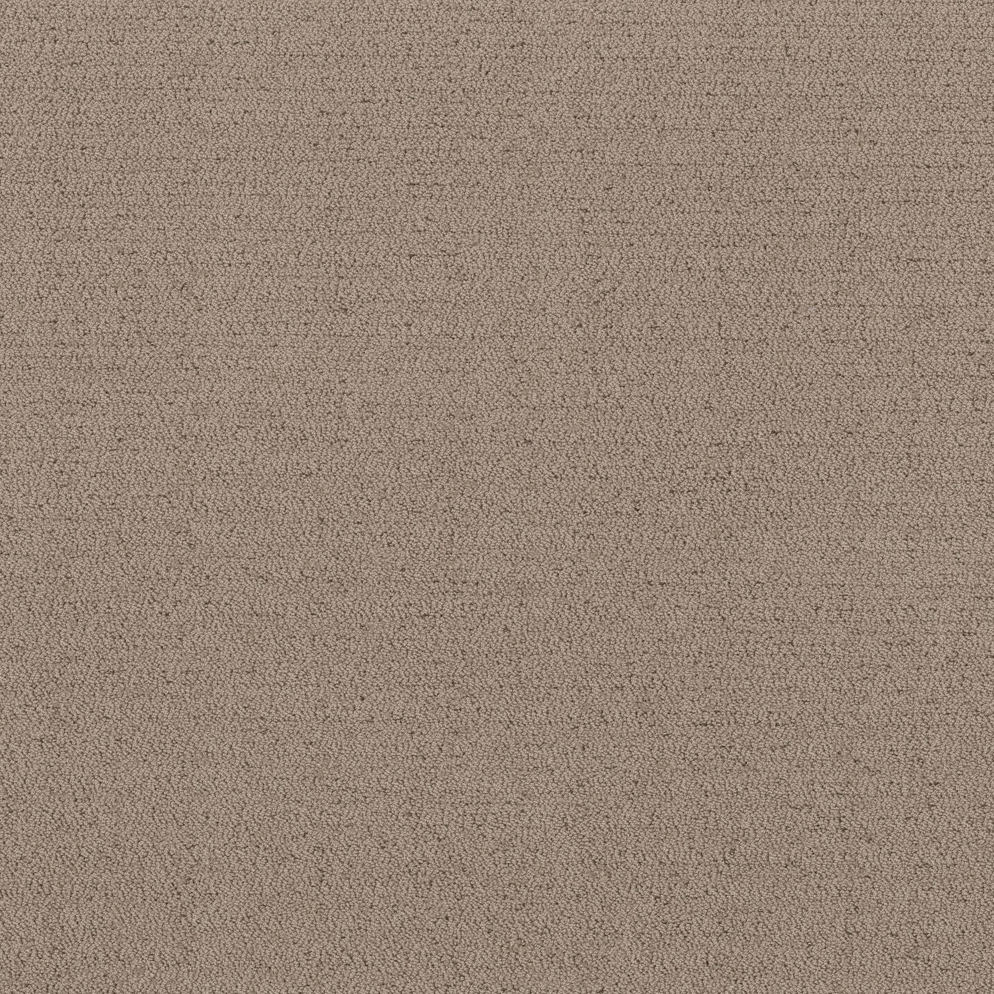 Ornate Detail Carpet - Cameo Zoomed Swatch Image