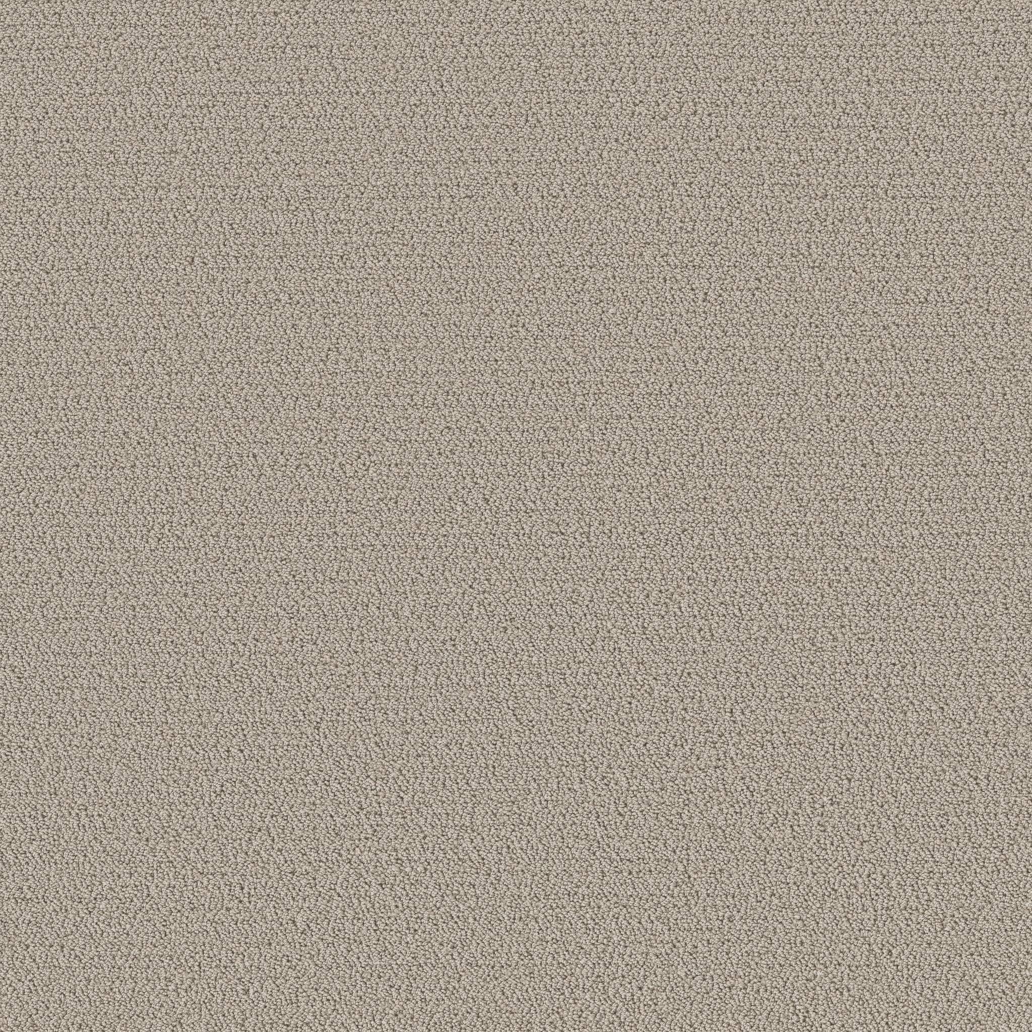Ornate Detail Carpet - Sculpture Zoomed Swatch Image