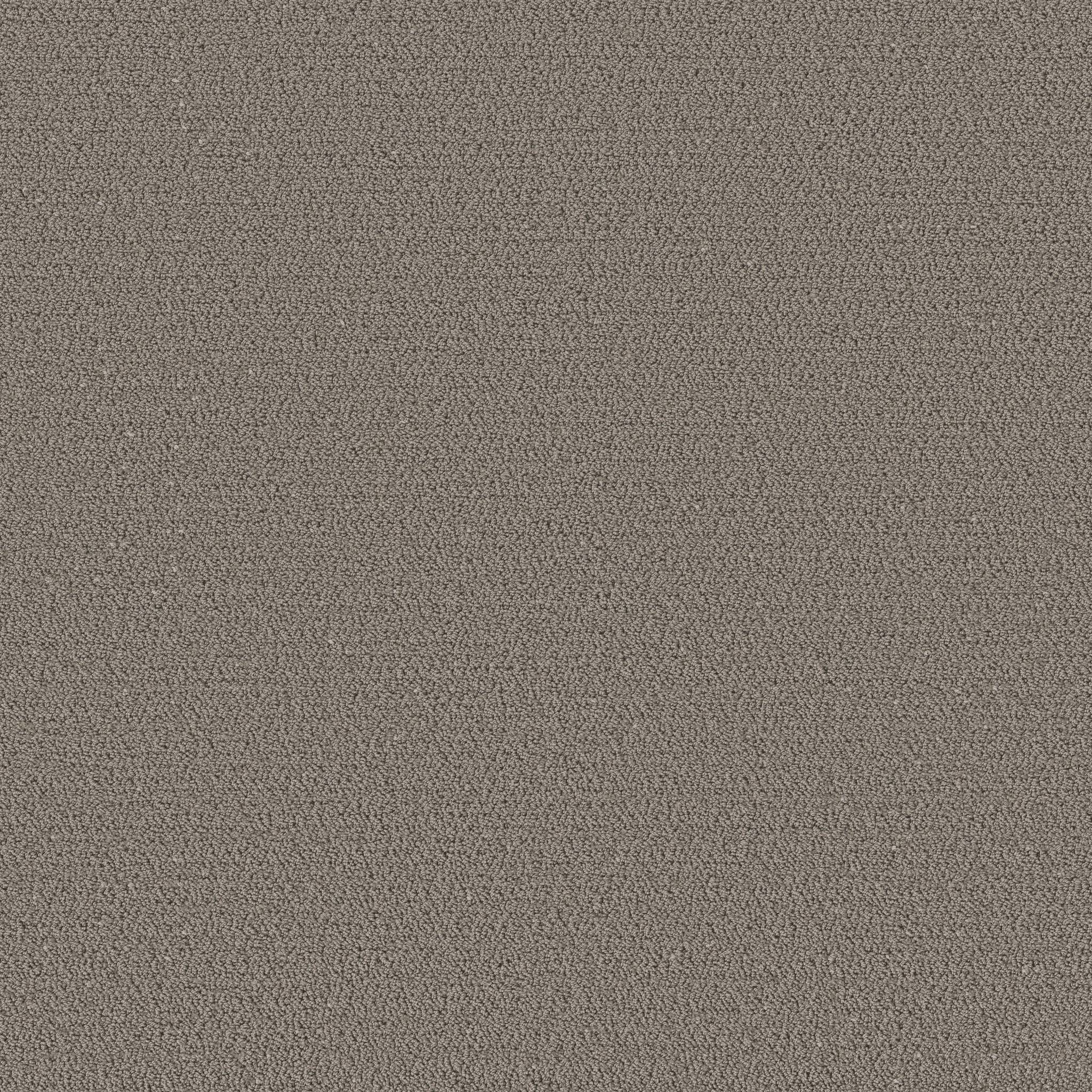 Ornate Detail Carpet - Ashes Zoomed Swatch Image