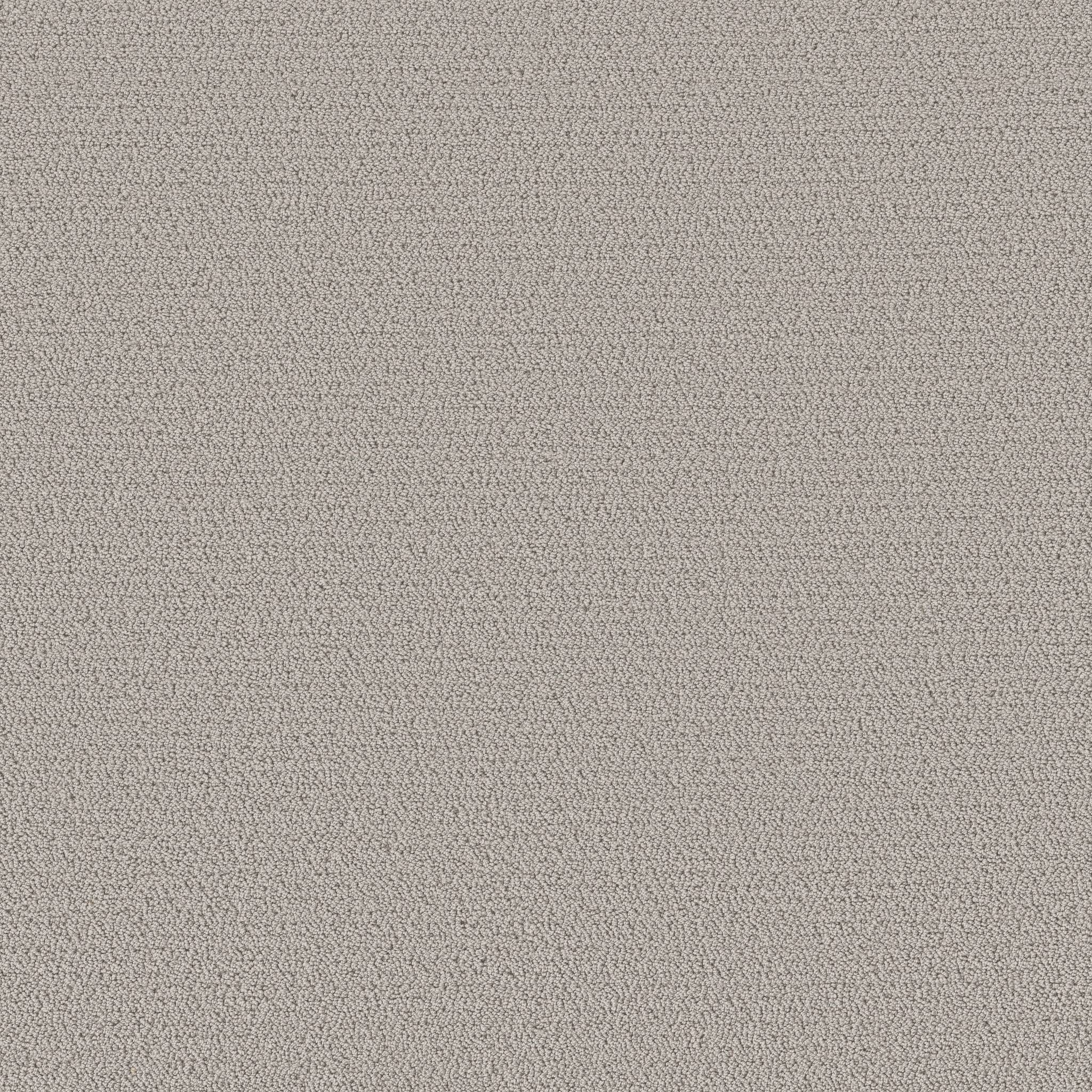 Ornate Detail Carpet - Rock Crystal Zoomed Swatch Image