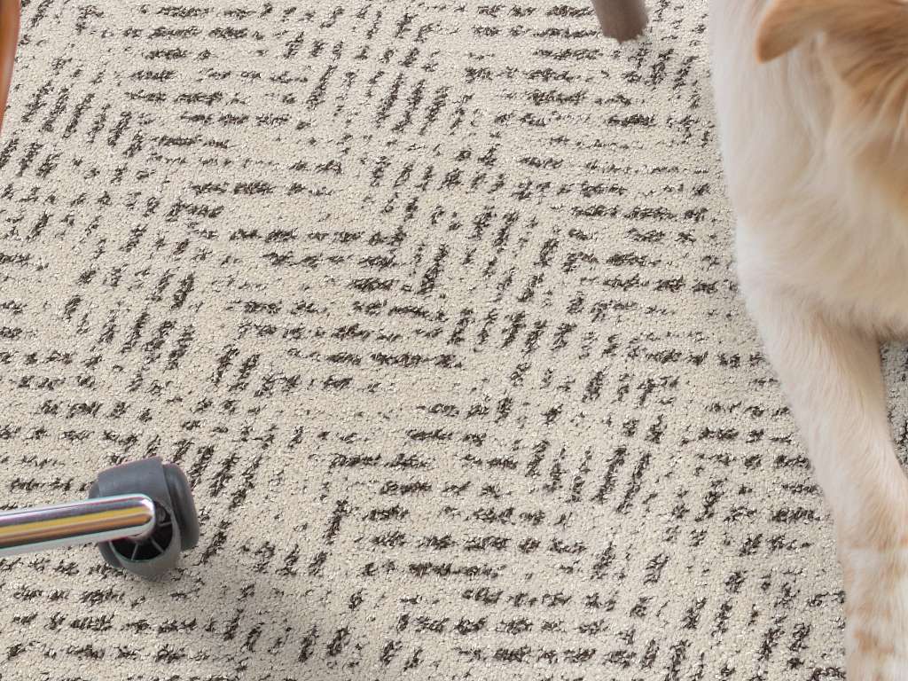 One Direction Carpet - Marble Room Scene Image