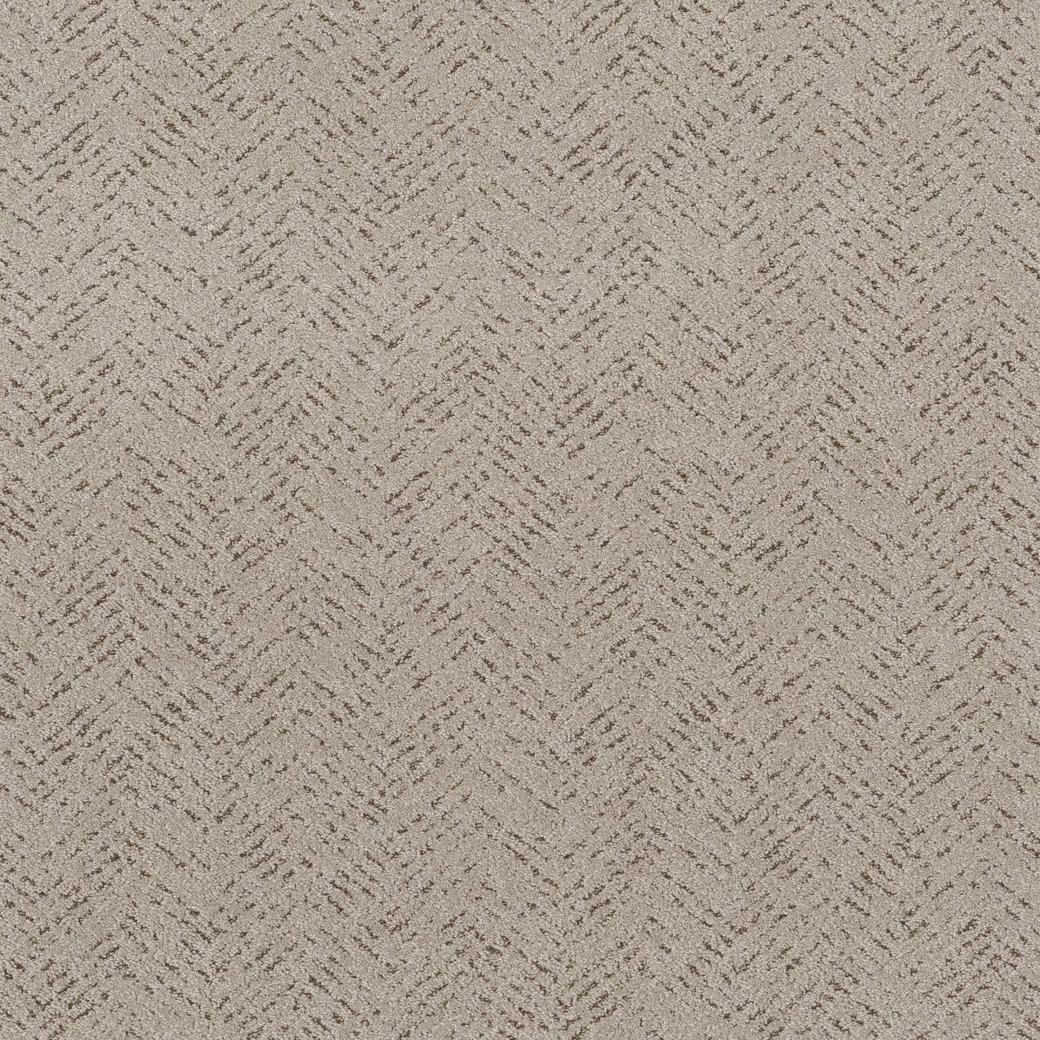 One Direction Carpet - River Birch Zoomed Swatch Image